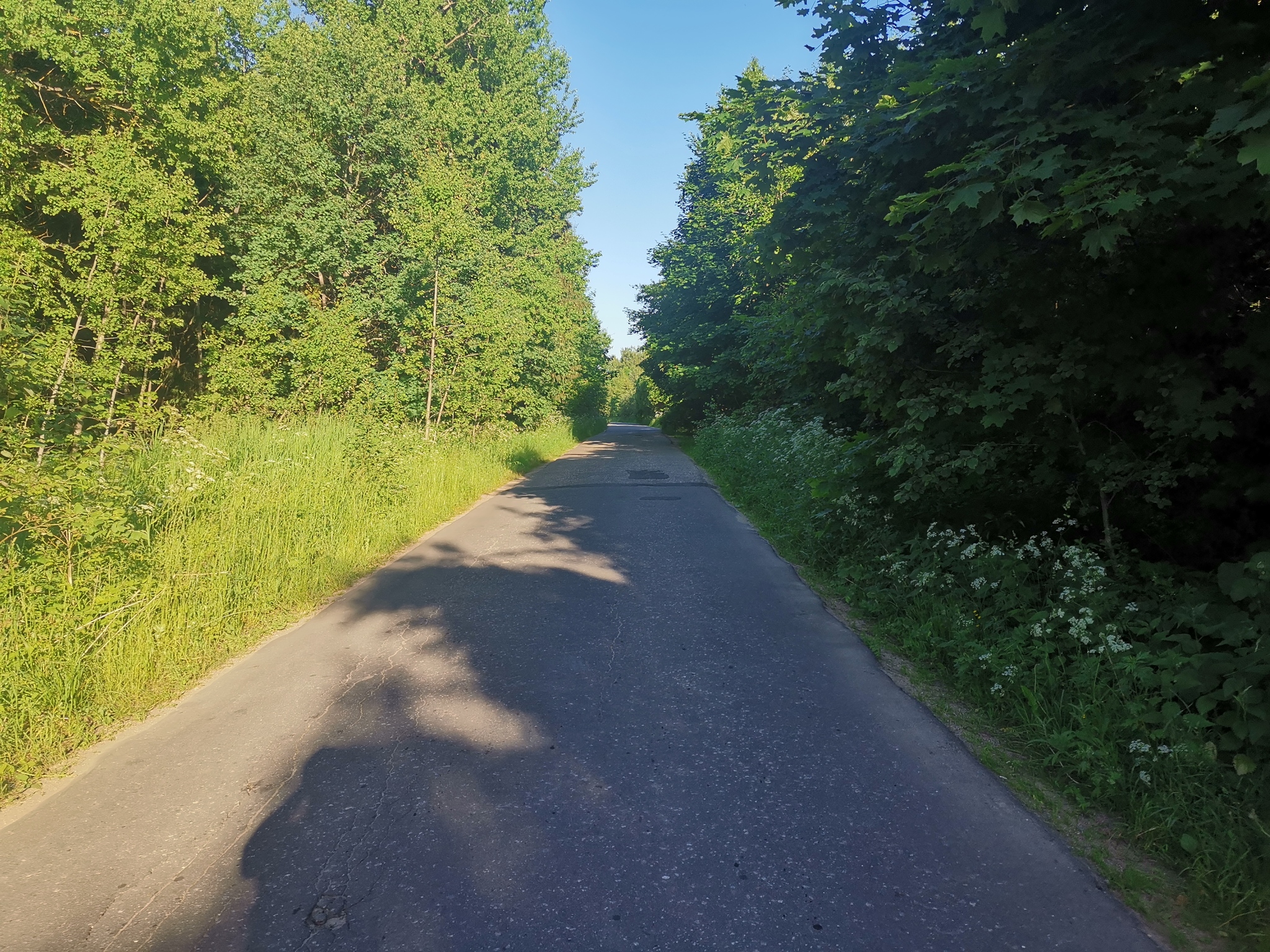 A trip to the Gorbovskaya HPP is: - My, A bike, Bike ride, Moscow region, Mobile photography, The photo, River, Nature, Longpost