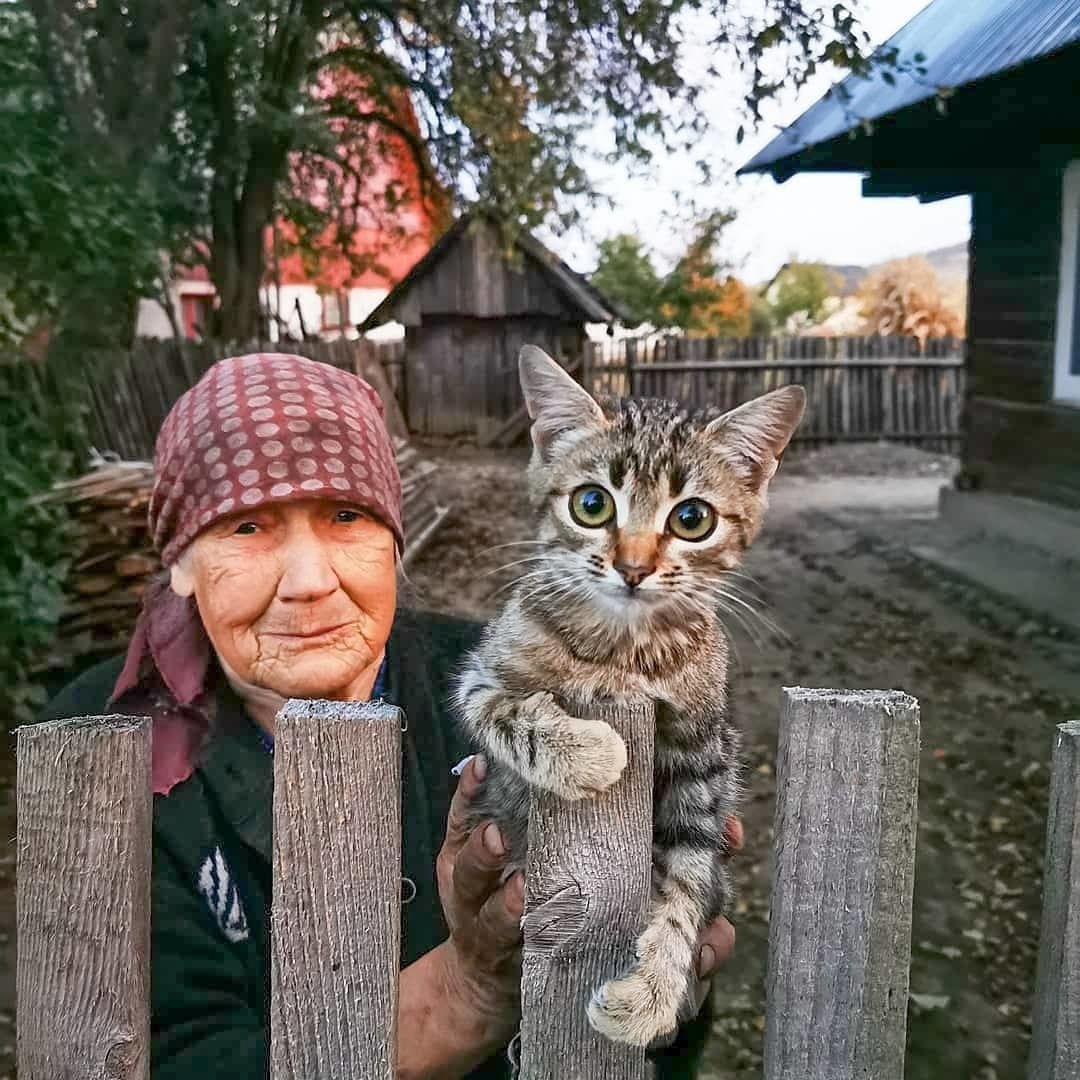 You just come... At least sometimes - Grandmother, Village, cat, Loneliness, Parents and children, The photo