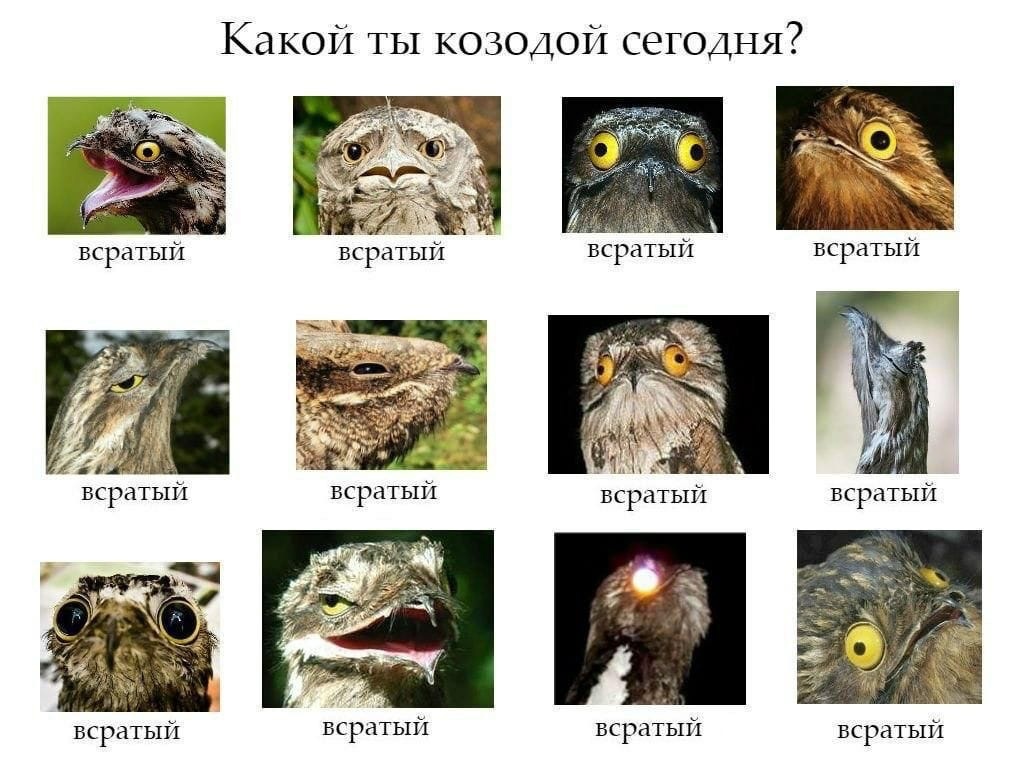 Дед инсайд, или Когда читаешь рецепт через строчку | Пикабу