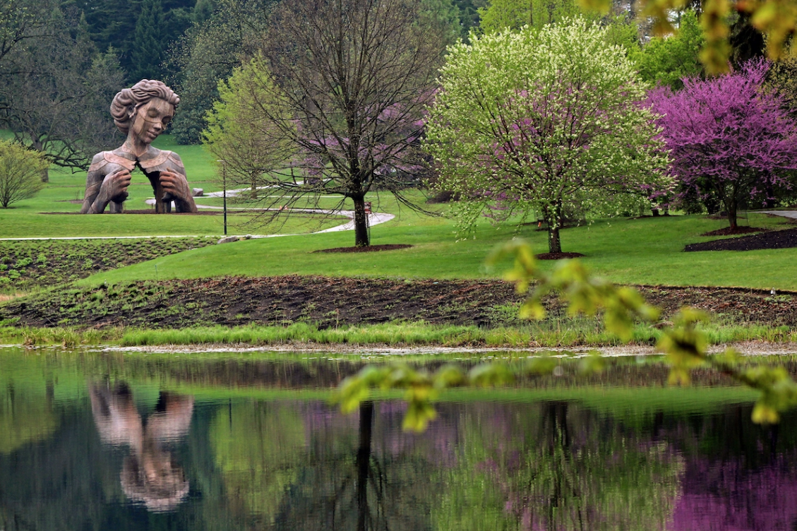 About the relationship between man and tree - Person, Tree, Sculpture, Longpost