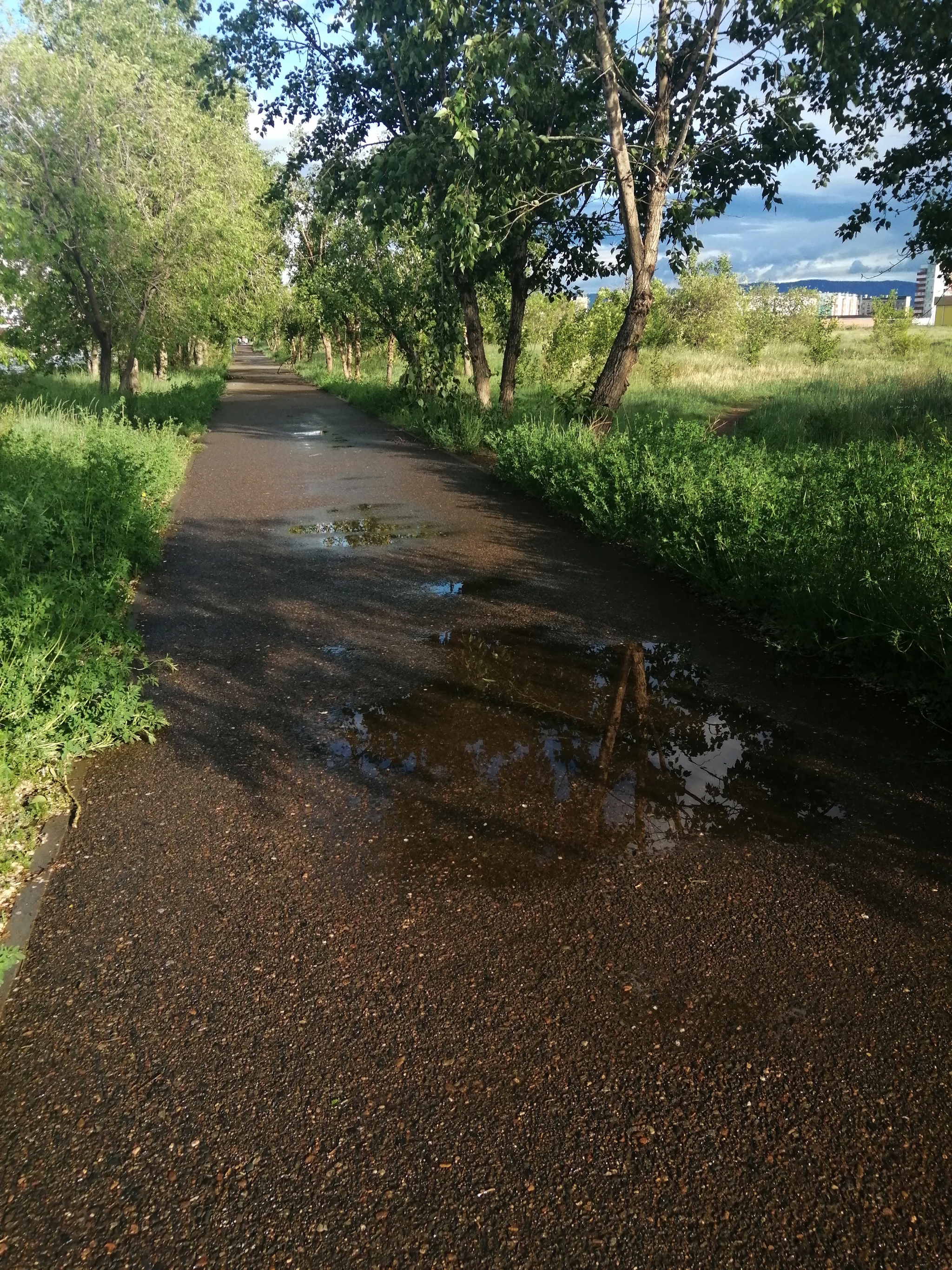 Evening after the rain - My, Rain, Puddle, Reflection