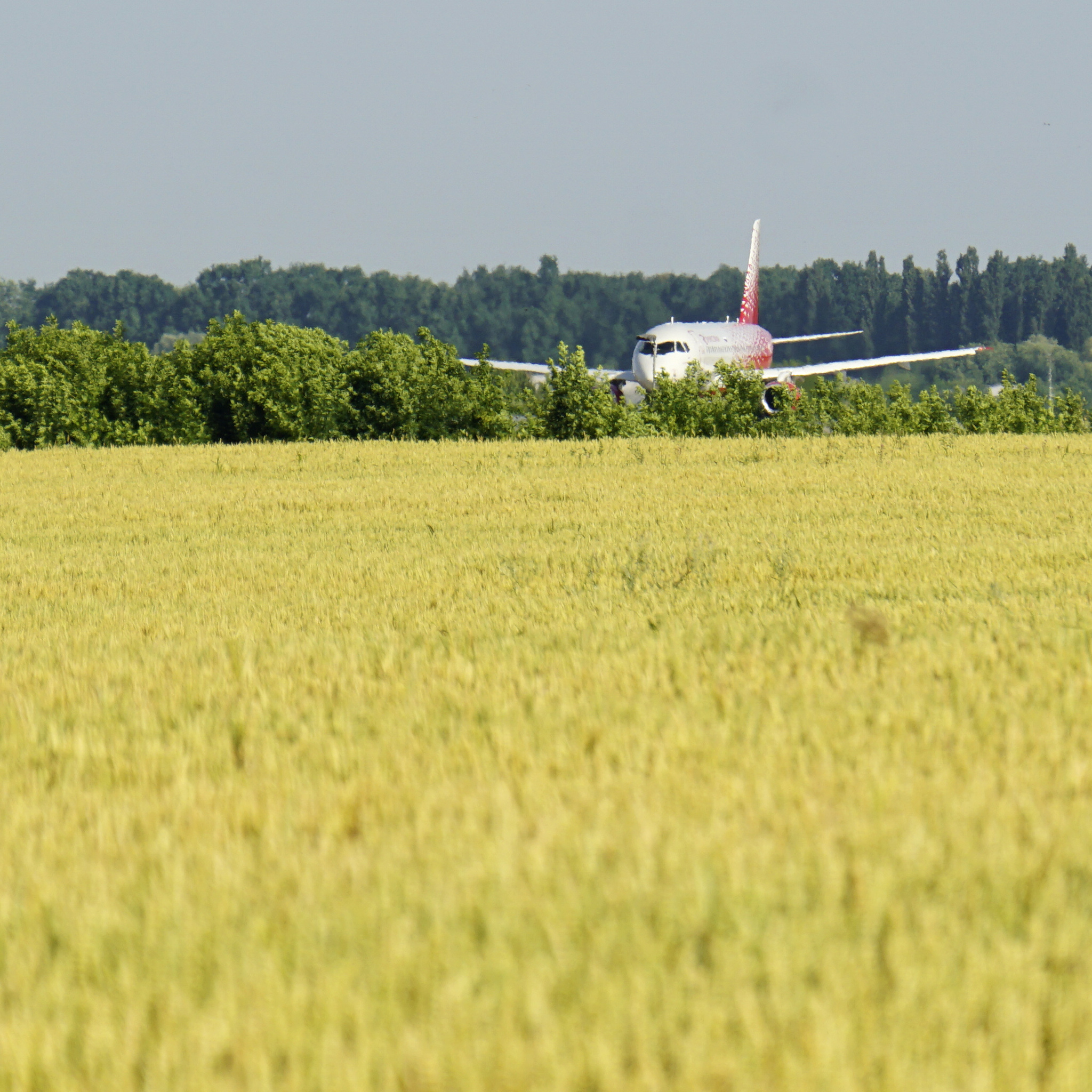 Hide and seek in the Kuban fields - My, civil Aviation, Sukhoi Superjet 100, Rossiya Airlines, Longpost, Spotting