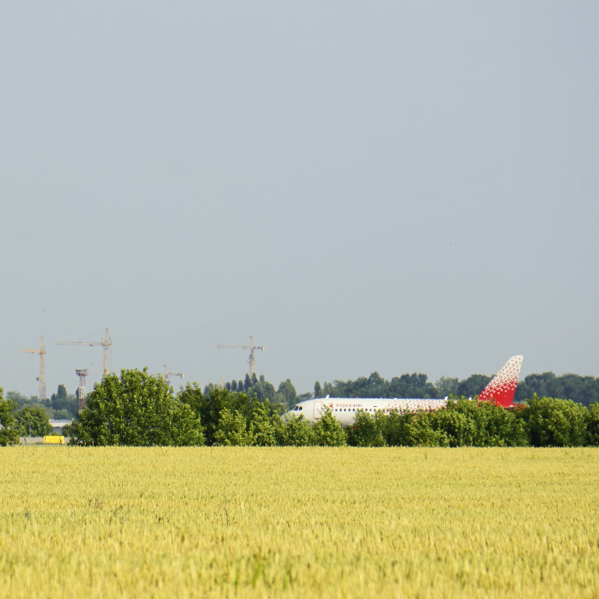 Hide and seek in the Kuban fields - My, civil Aviation, Sukhoi Superjet 100, Rossiya Airlines, Longpost, Spotting