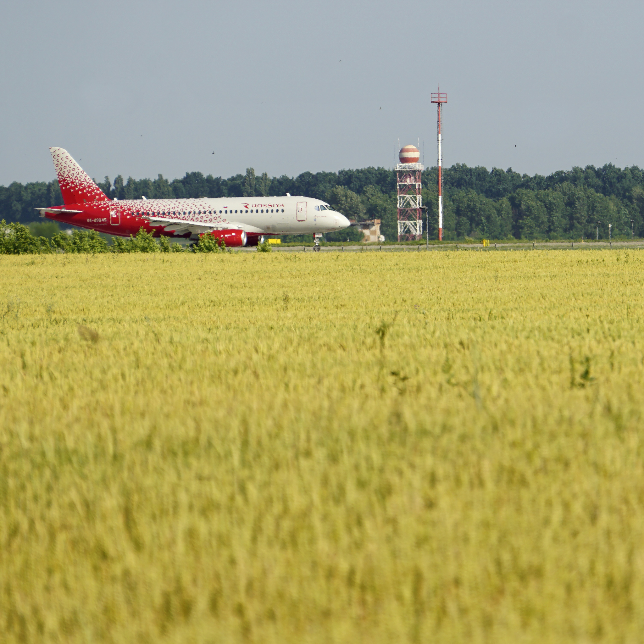 Hide and seek in the Kuban fields - My, civil Aviation, Sukhoi Superjet 100, Rossiya Airlines, Longpost, Spotting