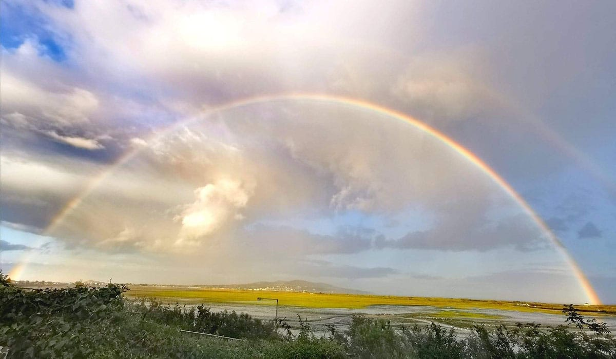 Rainbow - Радуга, Фотография