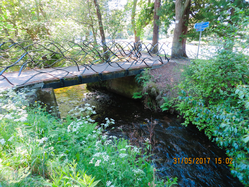 Inverness. Park on the islands - My, Town, Travels, Nature, The park, Scotland, Longpost