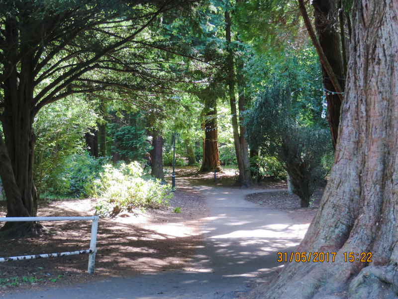 Inverness. Park on the islands - My, Town, Travels, Nature, The park, Scotland, Longpost