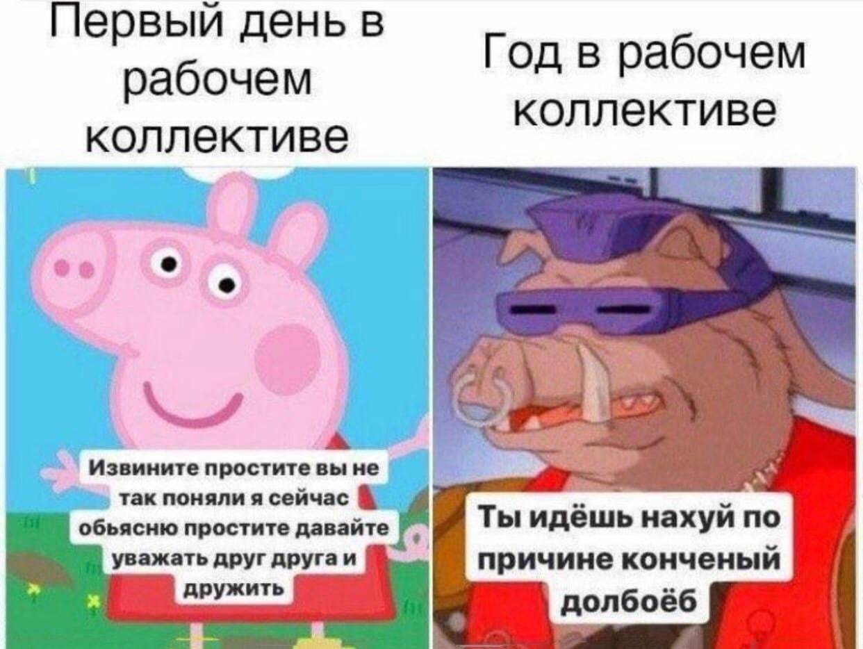 newbie - Work, Russia, Office, Новичок, Mat, Picture with text, Peppa Pig