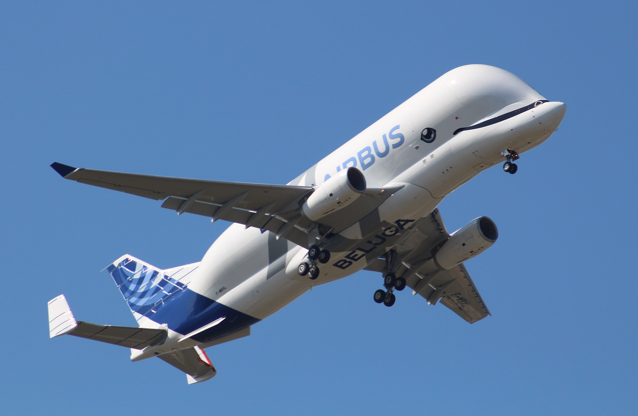 From the comments on Peekaboo, I learned what an Airbus Beluga looks like in factory livery, and this is the cutest thing I've seen in the last month - Airplane, Airbus Beluga, Milota, Aviation