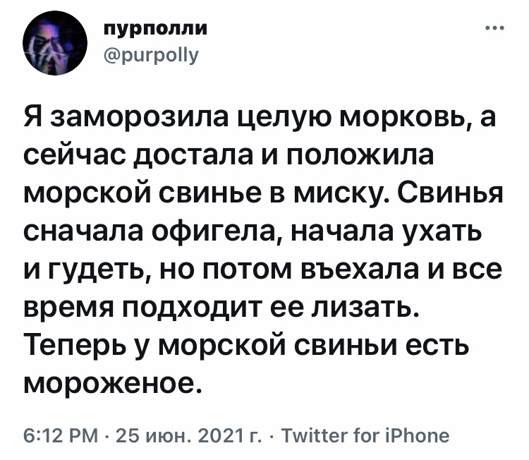 Морковь нынче деликатес - Юмор, Скриншот, Twitter, Морская свинка, Морковь, Мороженое