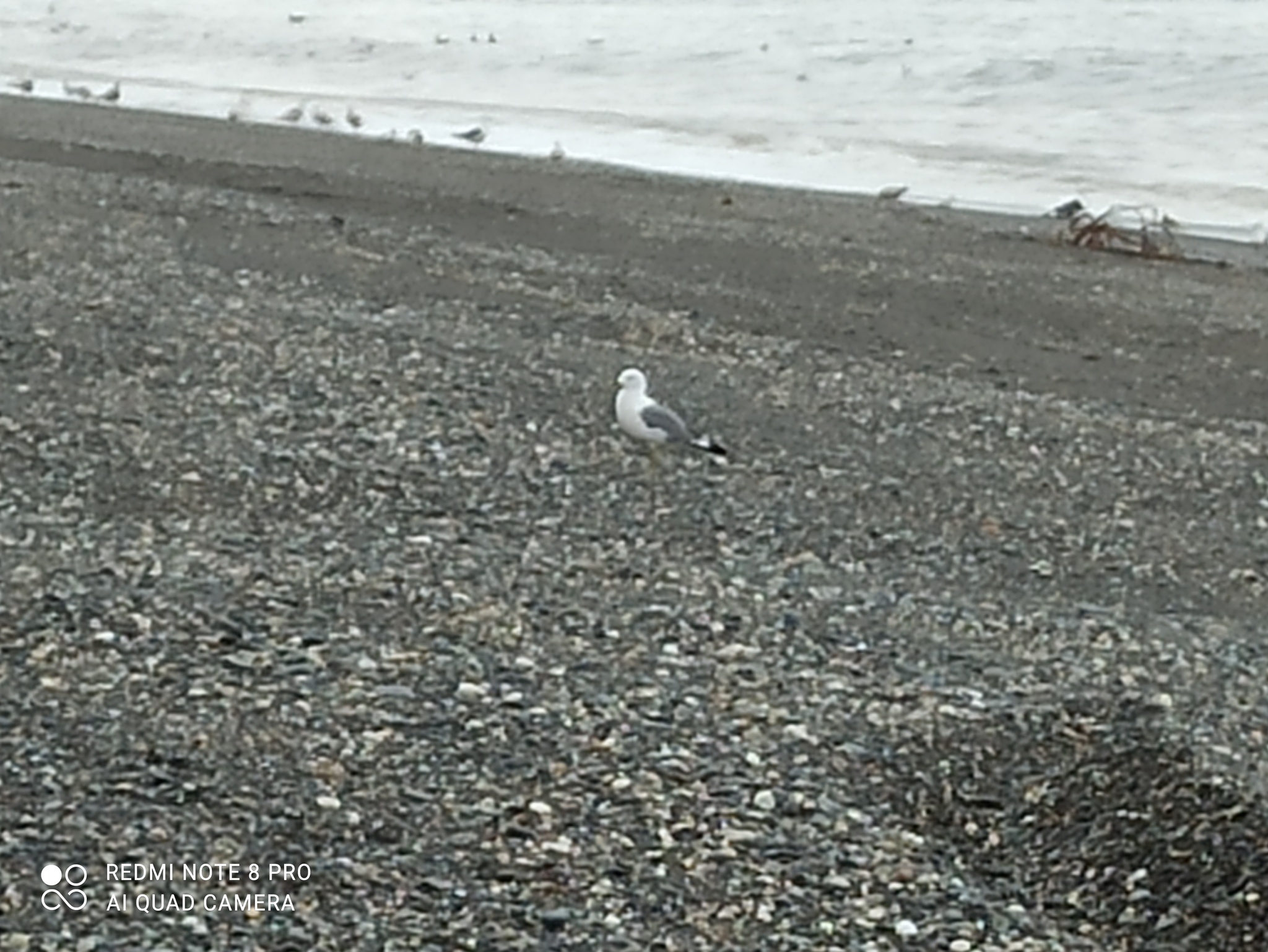 That same feeling - My, Sea, Kamchatka, Mat