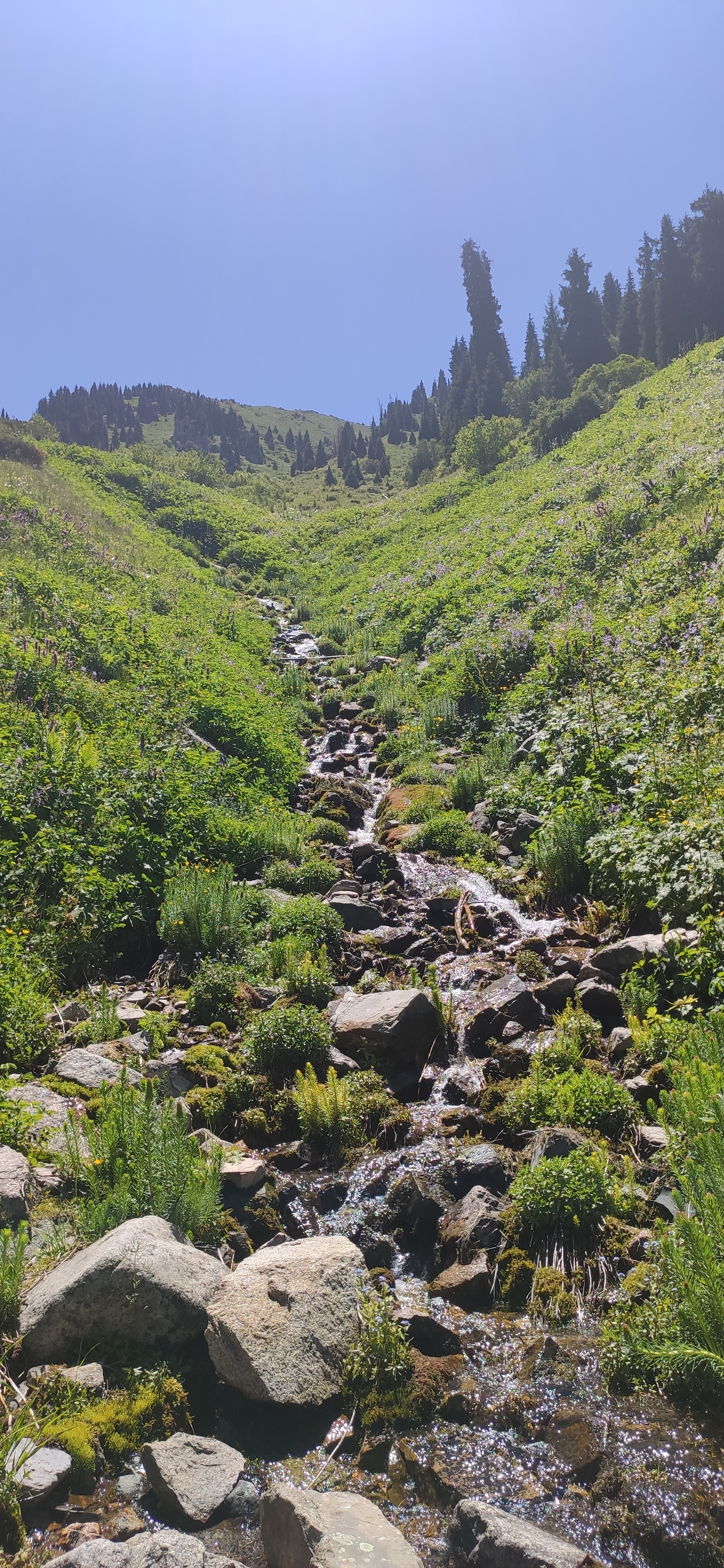 Neighborhoods of Almaty - Komissarov Gorge, Wish Waterfall - My, Mobile photography, Almaty mountains, Longpost