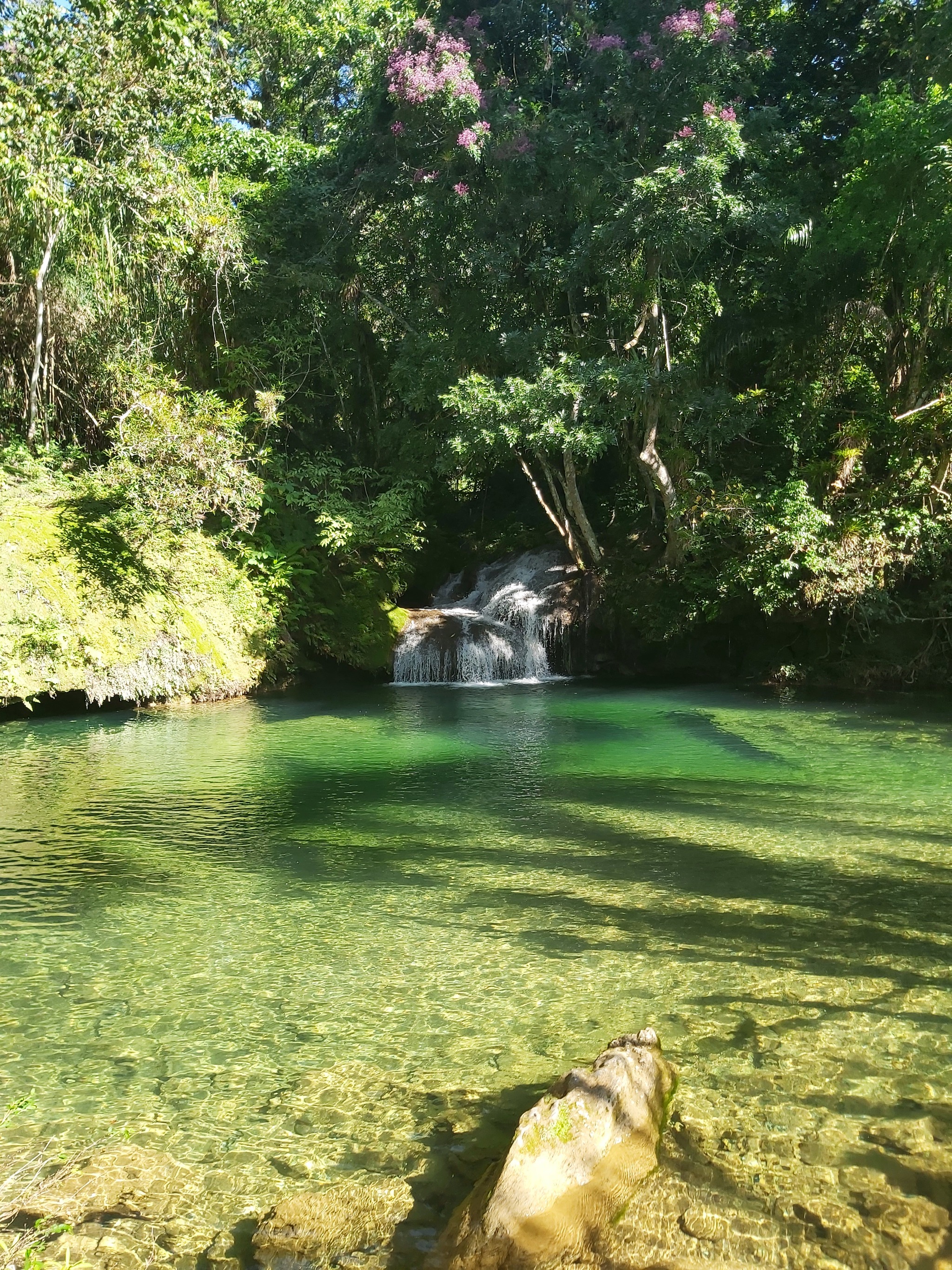 Reply to the post Colors of the forest stream - My, Forest, Stream, beauty, The photo, Cuba, Lake, Reply to post