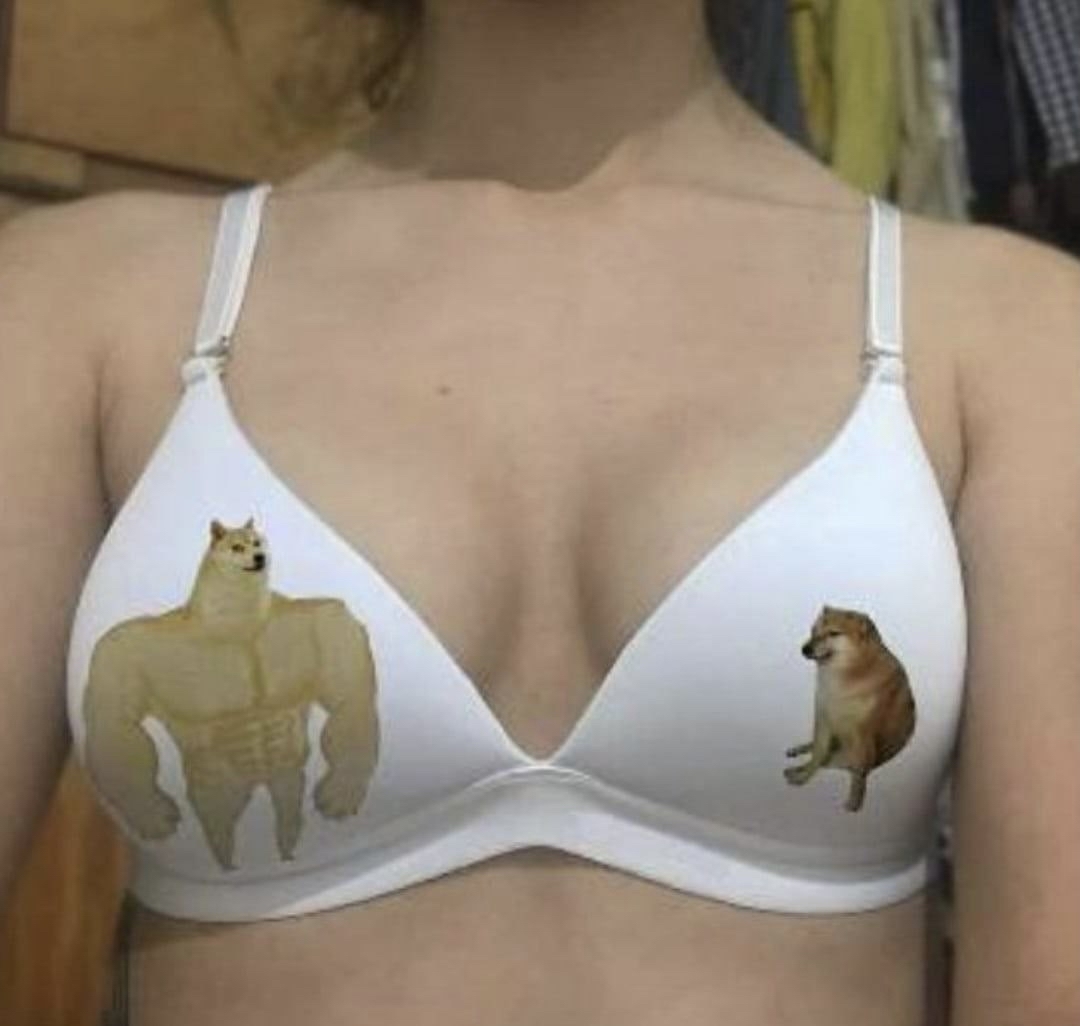 Well, you get the idea) - NSFW, Bra, Memes, Breast, Doge