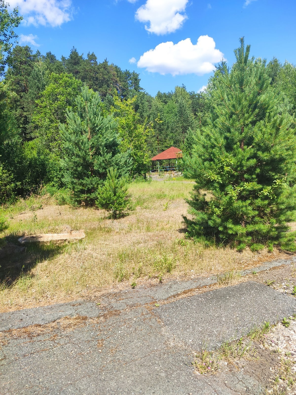 Abandoned Pioneer Camp - My, Pioneer camp, Abandoned, Perm Territory, Longpost