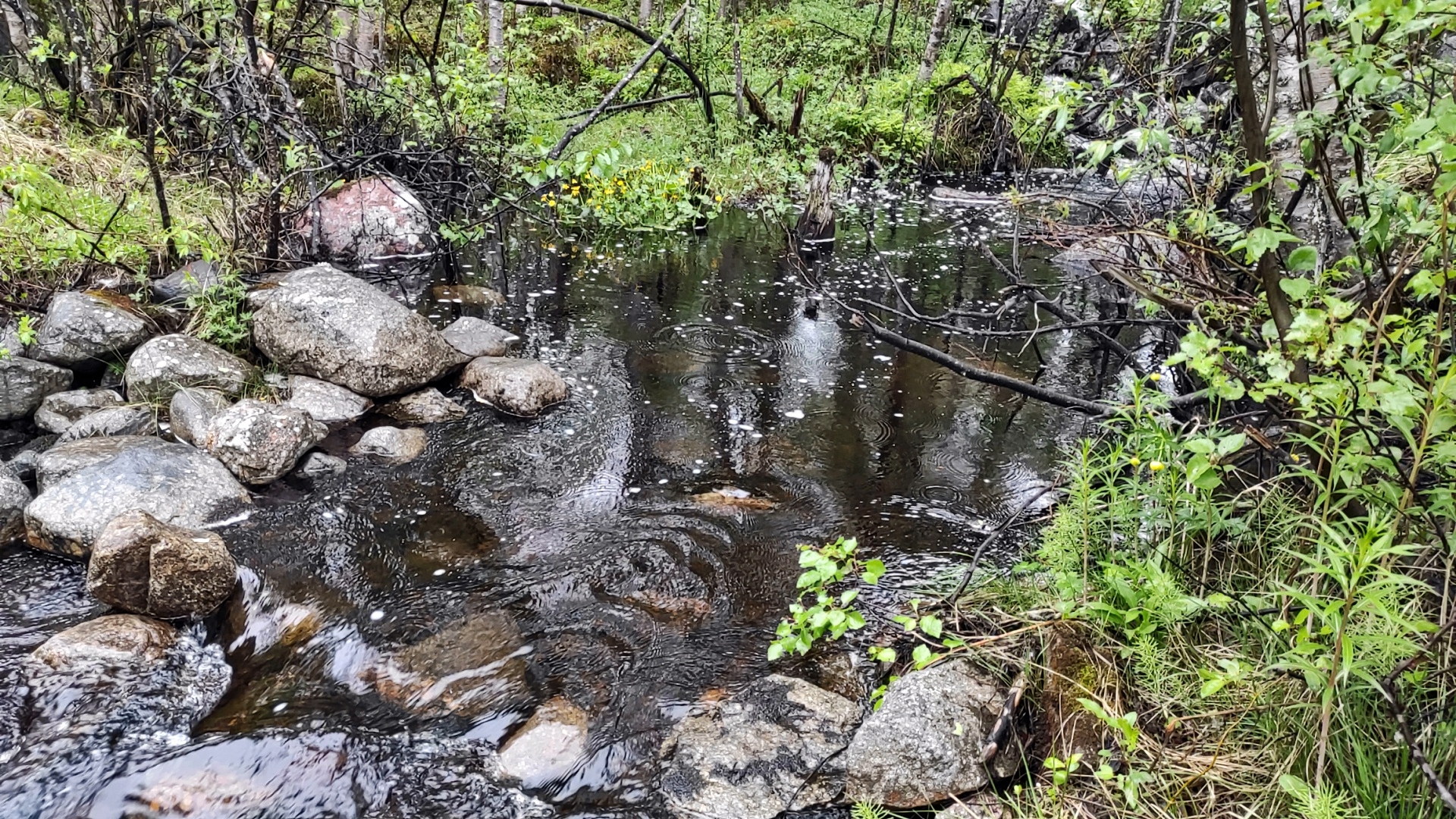 In the footsteps of quadrics! - My, Chevrolet niva, Niva, 4x4, Offroad, Murmansk, Kola Peninsula, Adventures, Travels, , Auto, Route, Nature, Video, Longpost