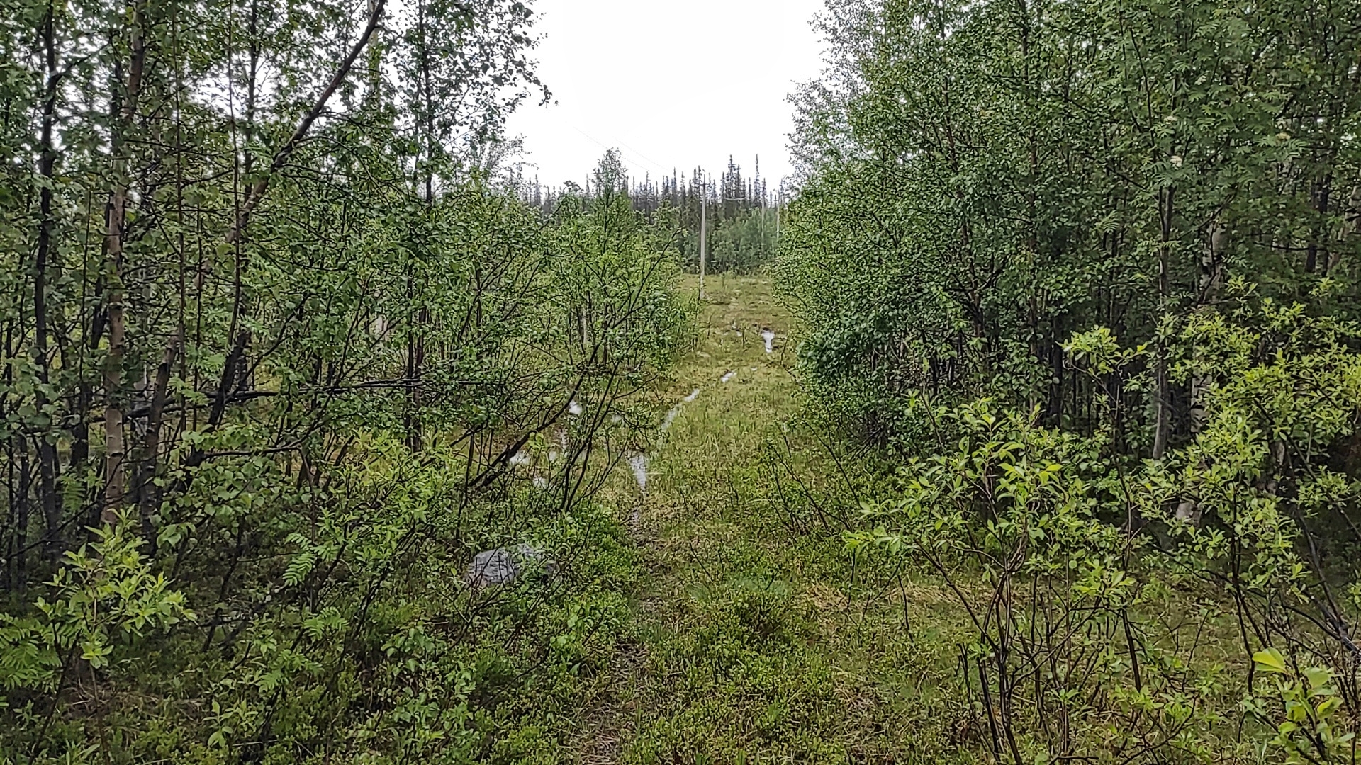 In the footsteps of quadrics! - My, Chevrolet niva, Niva, 4x4, Offroad, Murmansk, Kola Peninsula, Adventures, Travels, , Auto, Route, Nature, Video, Longpost