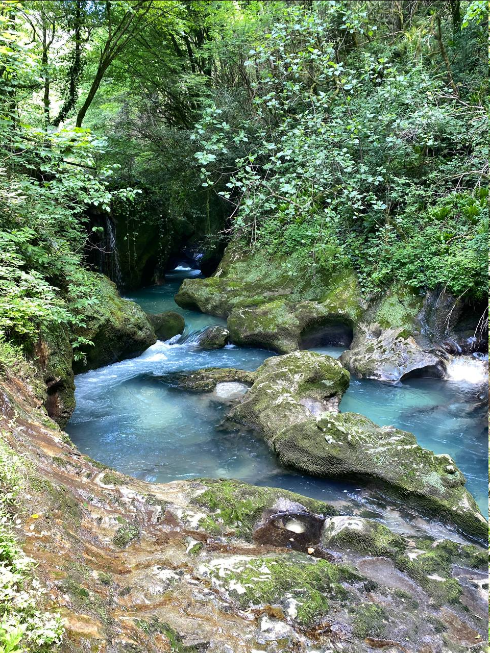 Abkhazia independently (Ritsa and Chernigovka) - My, Longpost, Abkhazia, Travels, Nature, Road trip