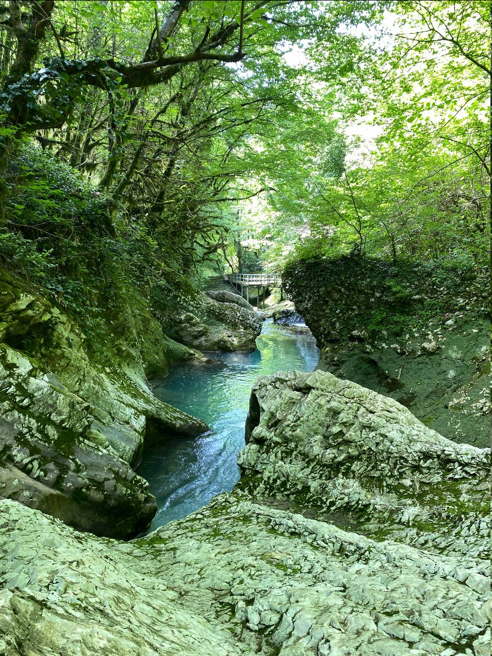 Abkhazia independently (Ritsa and Chernigovka) - My, Longpost, Abkhazia, Travels, Nature, Road trip