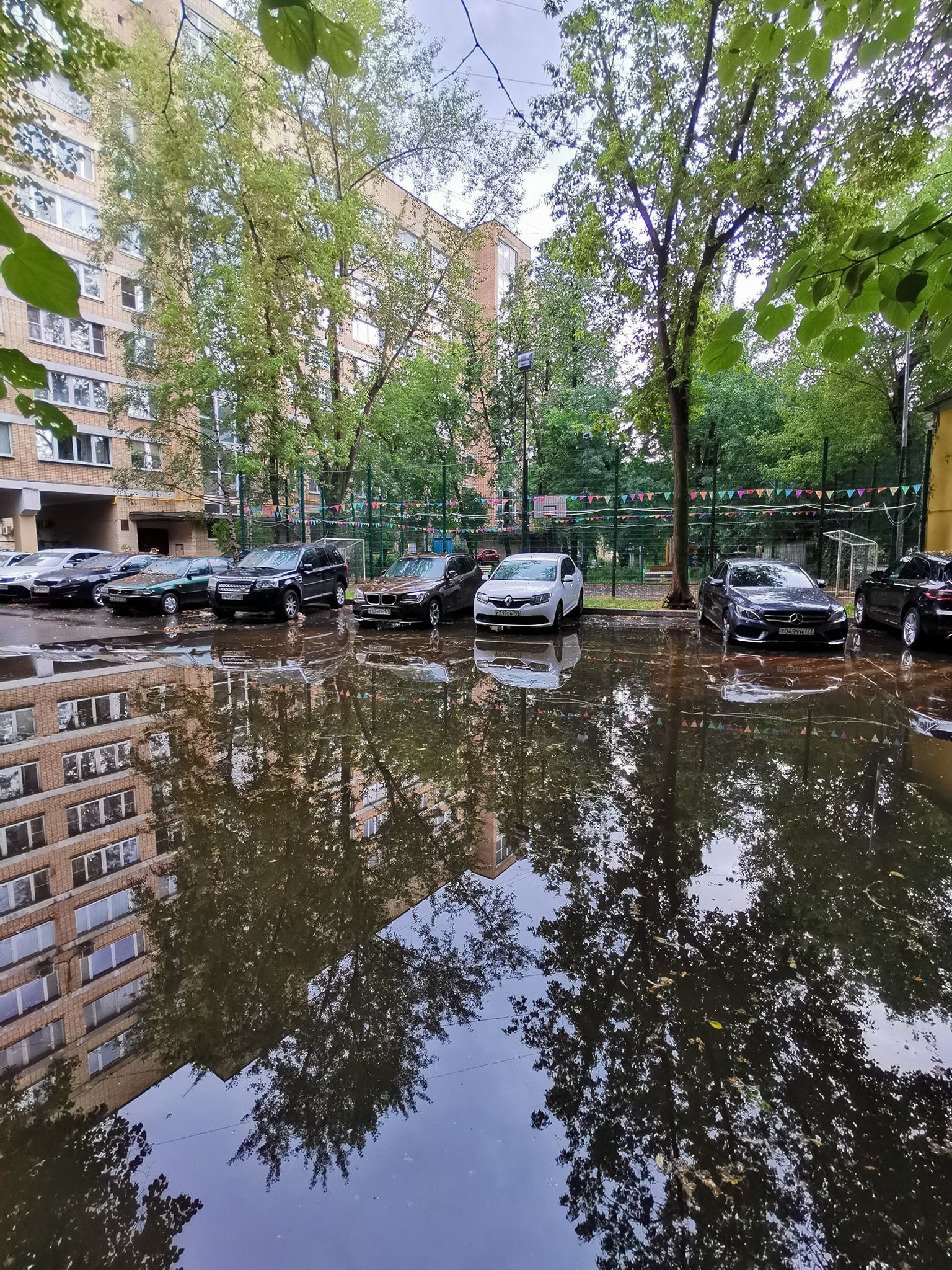 После дождя | Пикабу