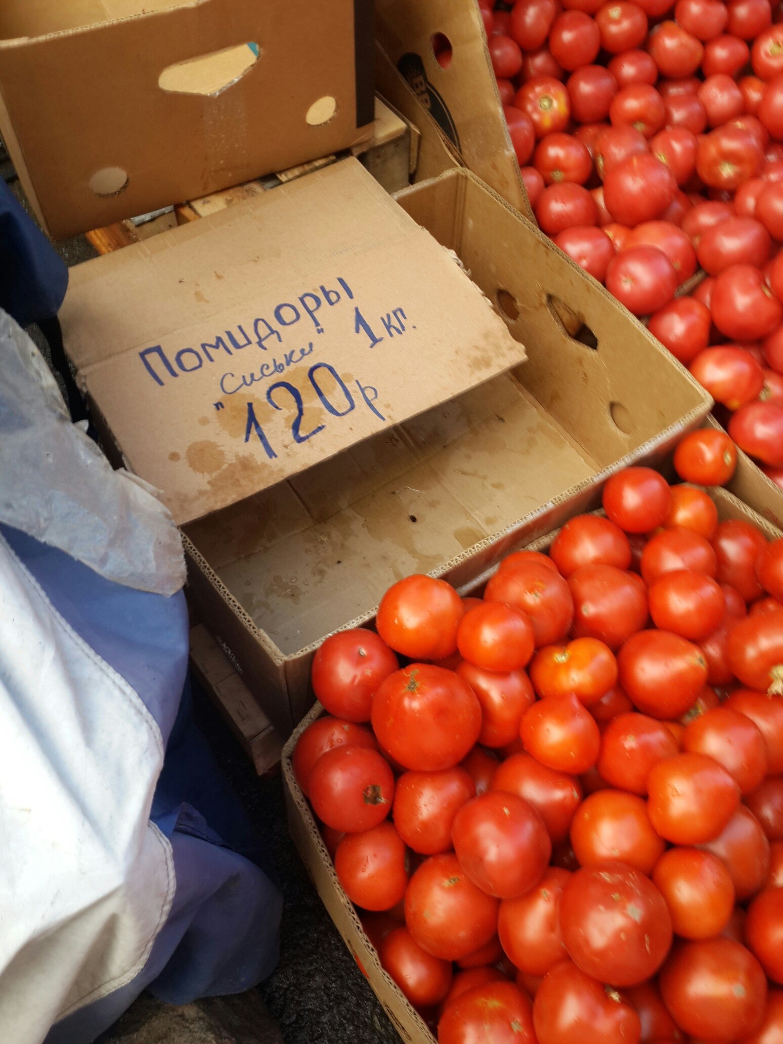 The gods of marketing - Tomatoes, Trade