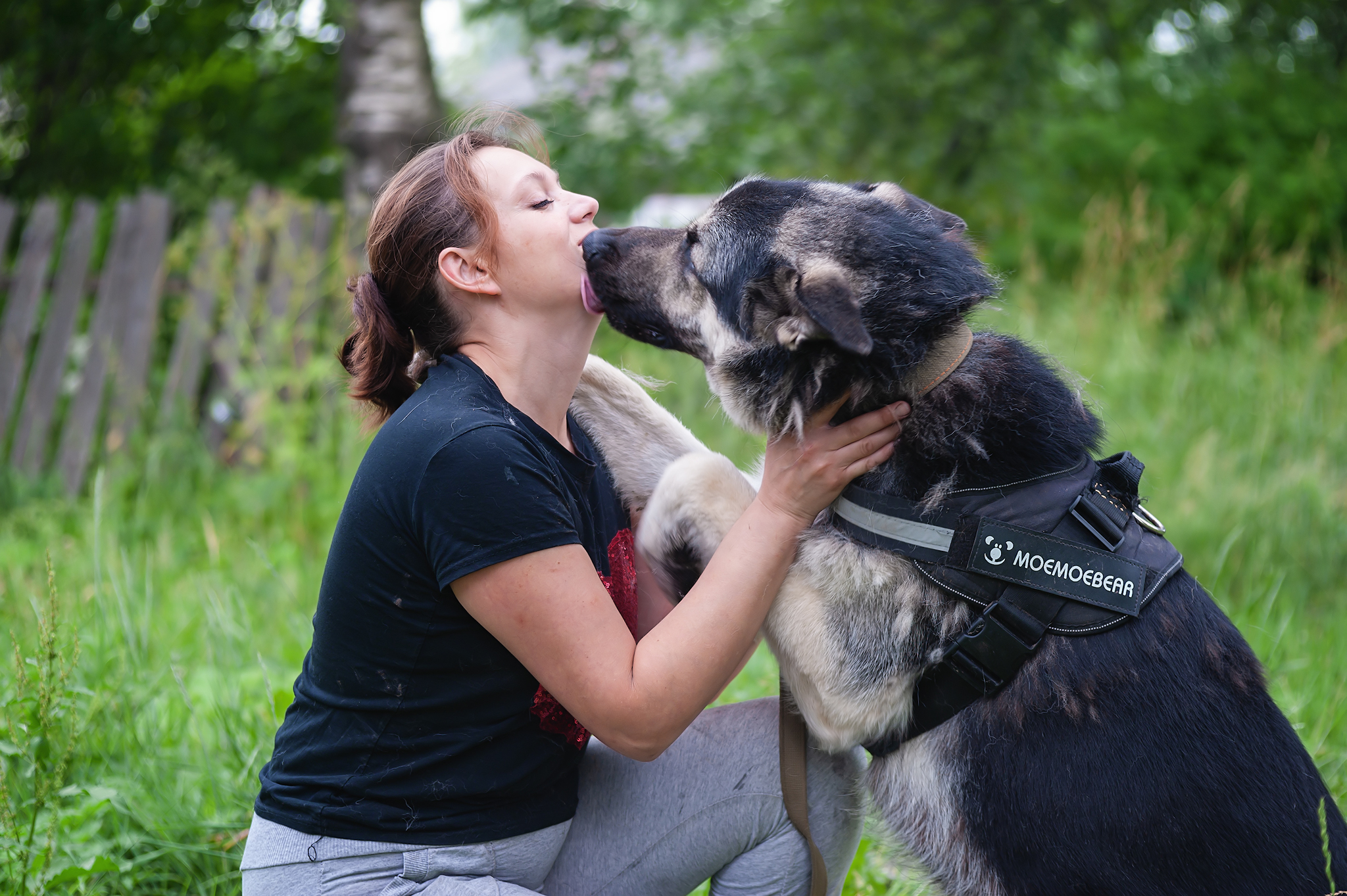 A small photo session)) - My, East European Shepherd, Sheepdog, The photo, Summer, Grass, Dog