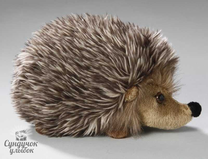 Lost Hedgehog - My, A loss, The strength of the Peekaboo, Hedgehog, Soft toy, Anapa, Longpost, No rating