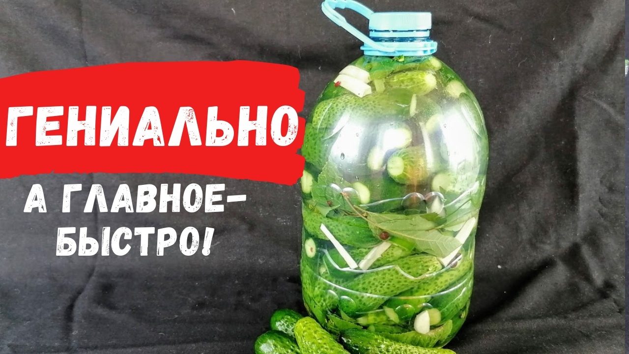 100 kg in five minutes / A quick way to pickle cucumbers for the winter / Cucumbers in a bottle - My, Cucumbers, Recipe, Food, Snack, Cooking, Other cuisine, Blanks, Canning, , Salted cucumbers, Video, Longpost