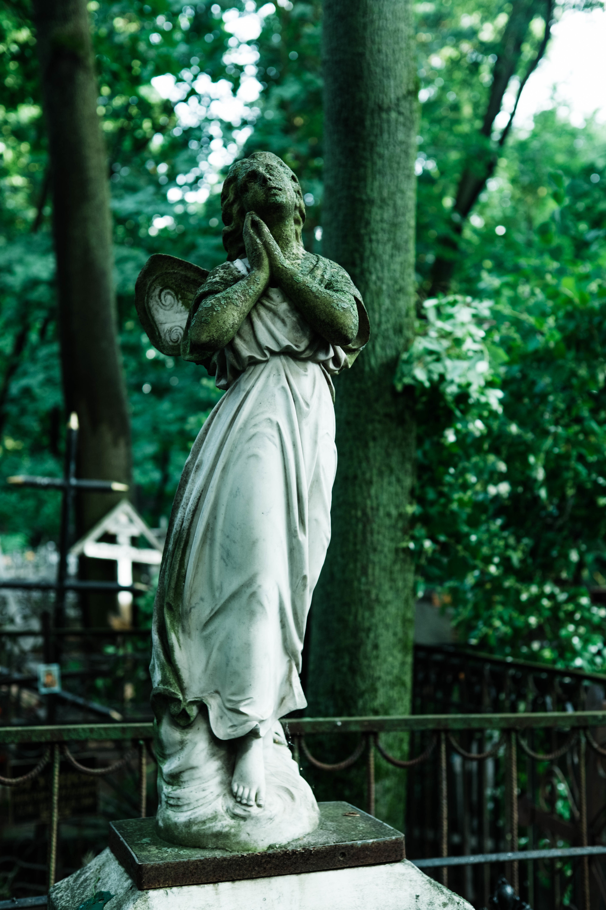 Vvedenskoe Cemetery - My, The photo, Fujifilm, Longpost