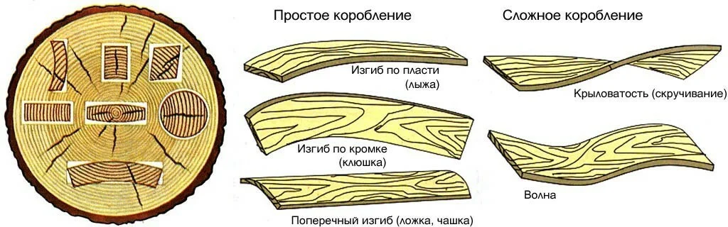 Продольное коробление древесины. Поперечное коробление древесины. Тангенциальная усушка древесины. Пороки древесины покоробленности.