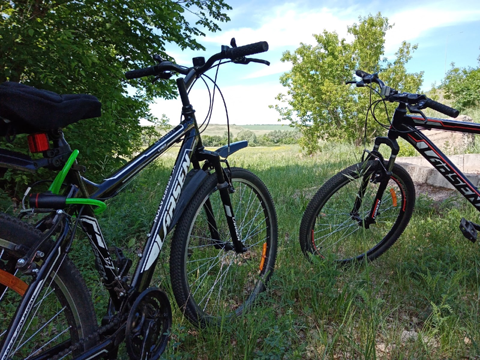 Our little achievement - My, A bike, Bike ride, Field, Longpost