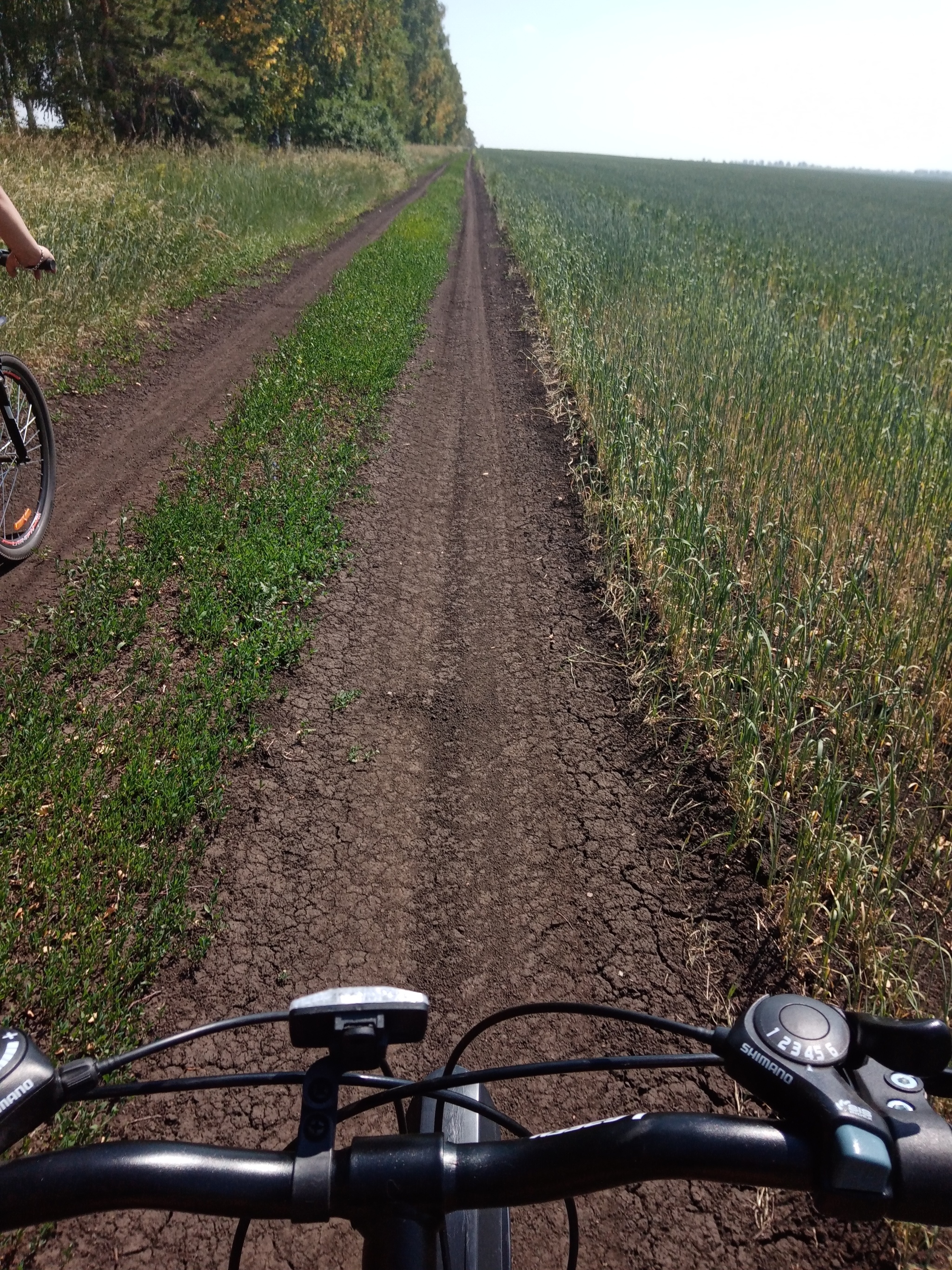 Our little achievement - My, A bike, Bike ride, Field, Longpost