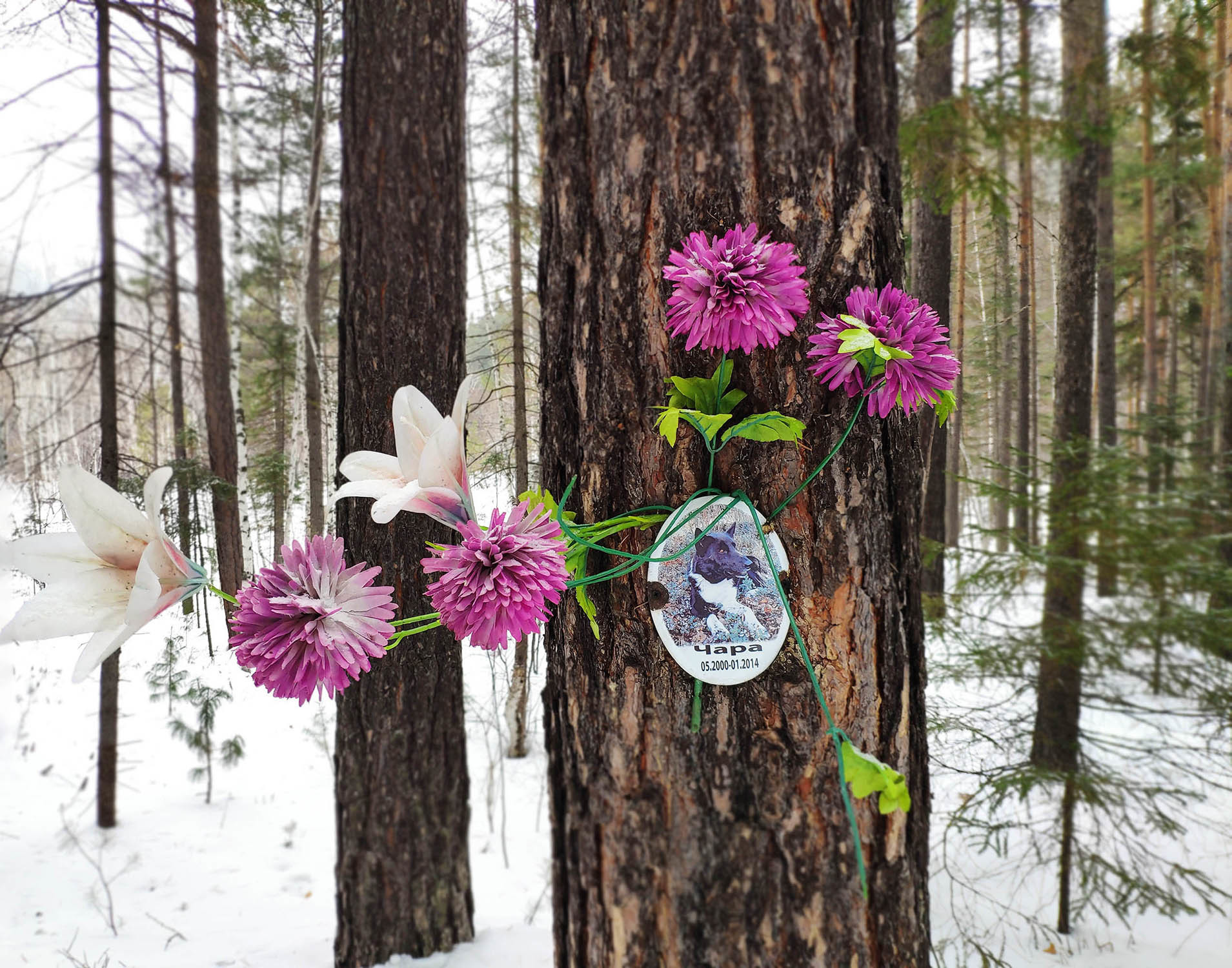 My Baikal, day 7: rocks of the Olkhinsky plateau - My, Baikal, Irkutsk, Xiaomi mi8, Longpost, 