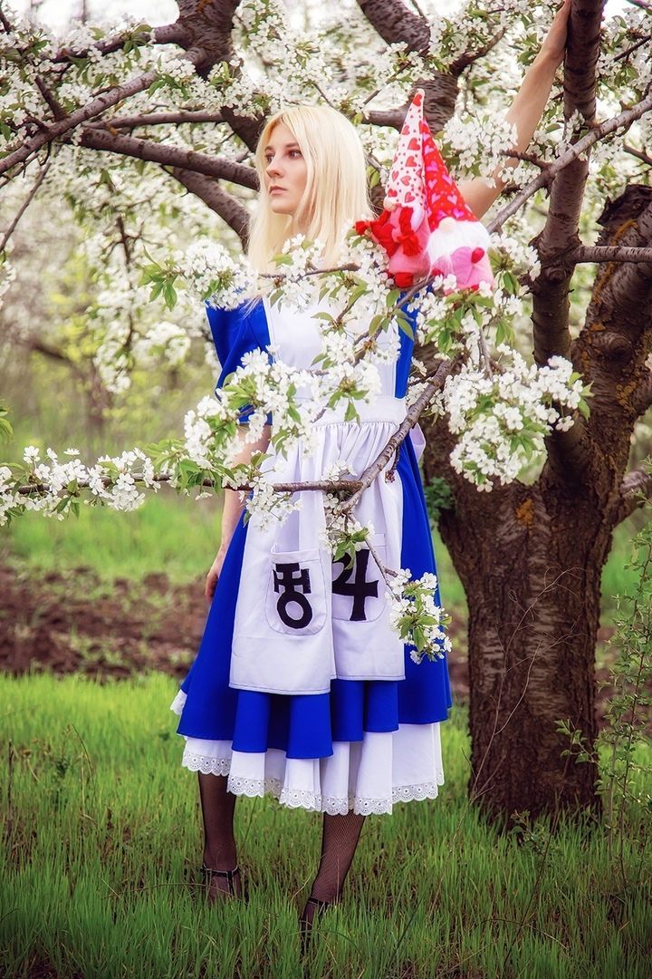 Alice in Wonderland - My, Alice in Wonderland, Cosplay, PHOTOSESSION, Alice: Madness Returns, Longpost