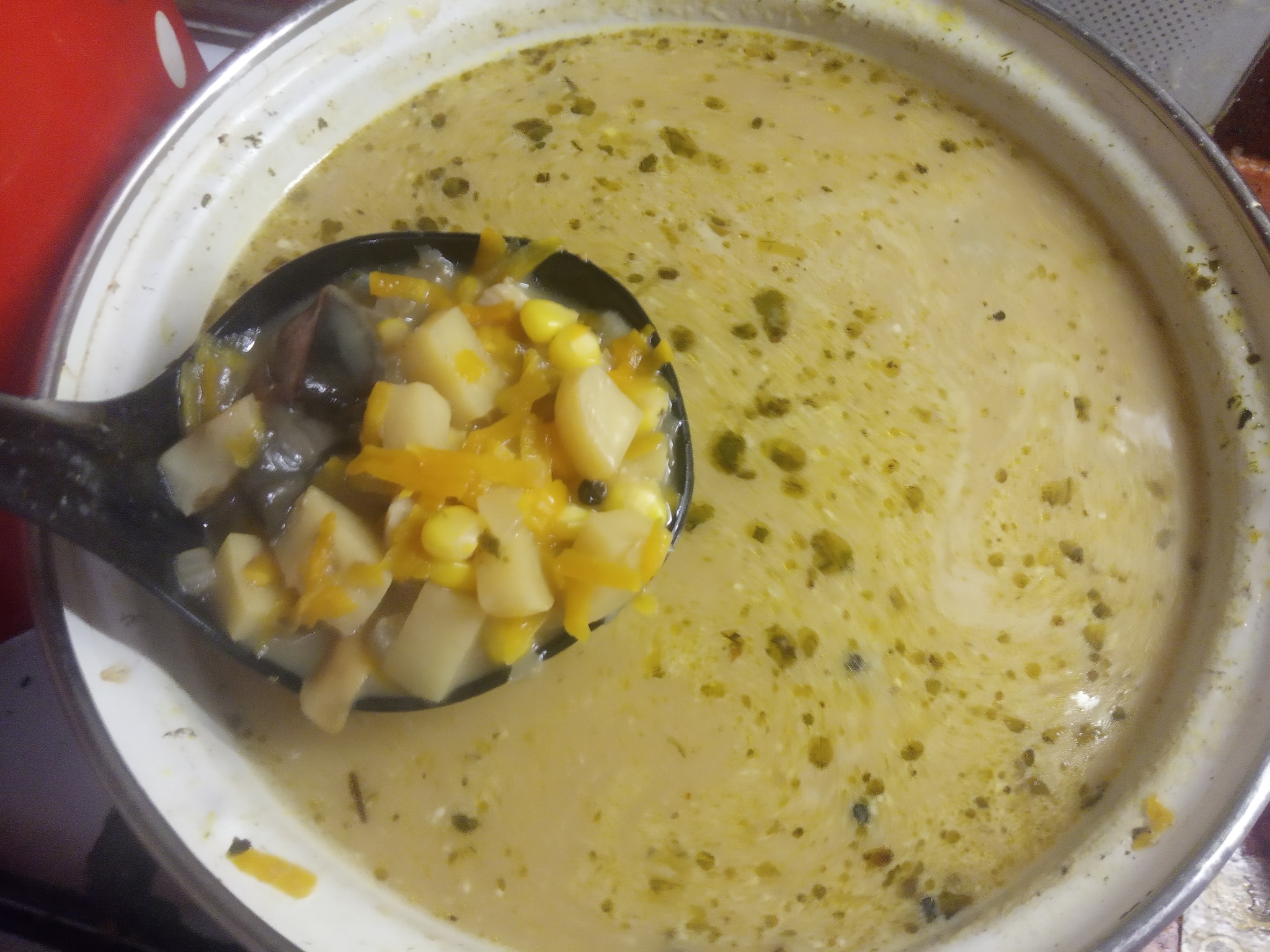 Mushroom soup with new potatoes and corn - My, Cooking, Mushrooms, Soup, Longpost