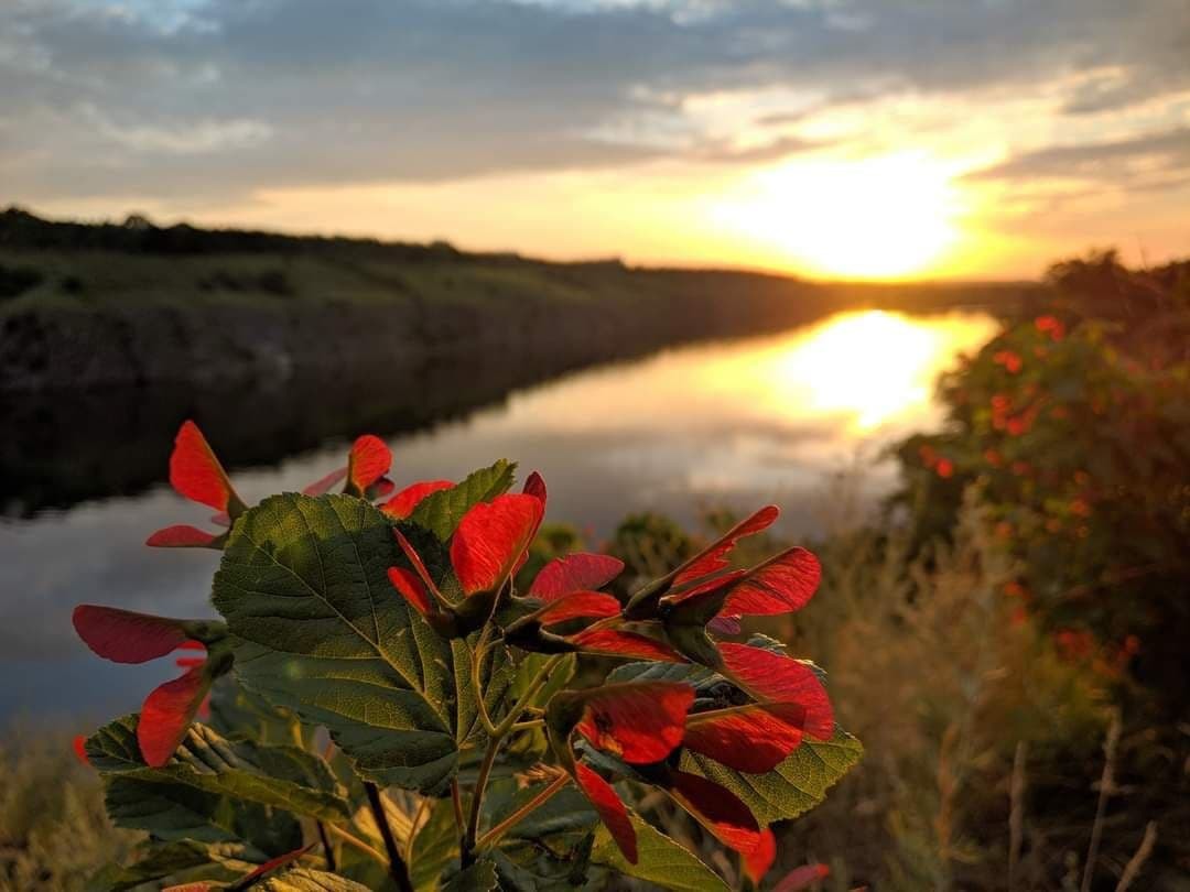 Multicolored Khortytsya - Zaporizhzhia, Khortytsia, Flowers, The photo, Longpost