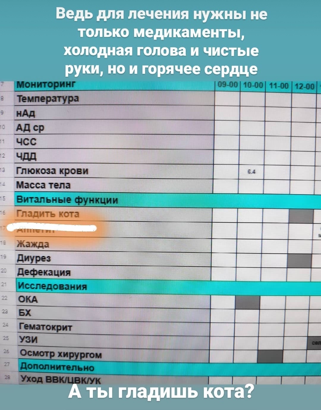 Продолжение про кота-летуна - Моё, Работа, Ветеринар, Кот, Перелом, Хирургия, Пятничный тег моё, Ветеринария, Длиннопост