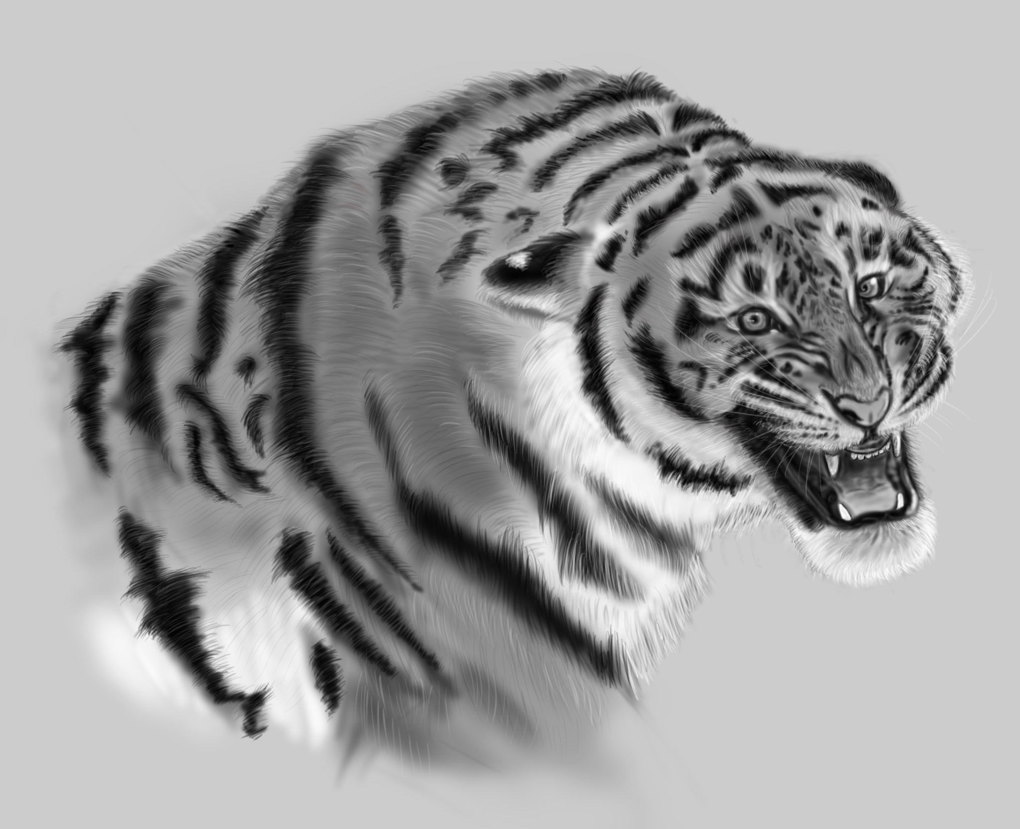 Tiger - My, Art, Digital drawing, Drawing, Tiger