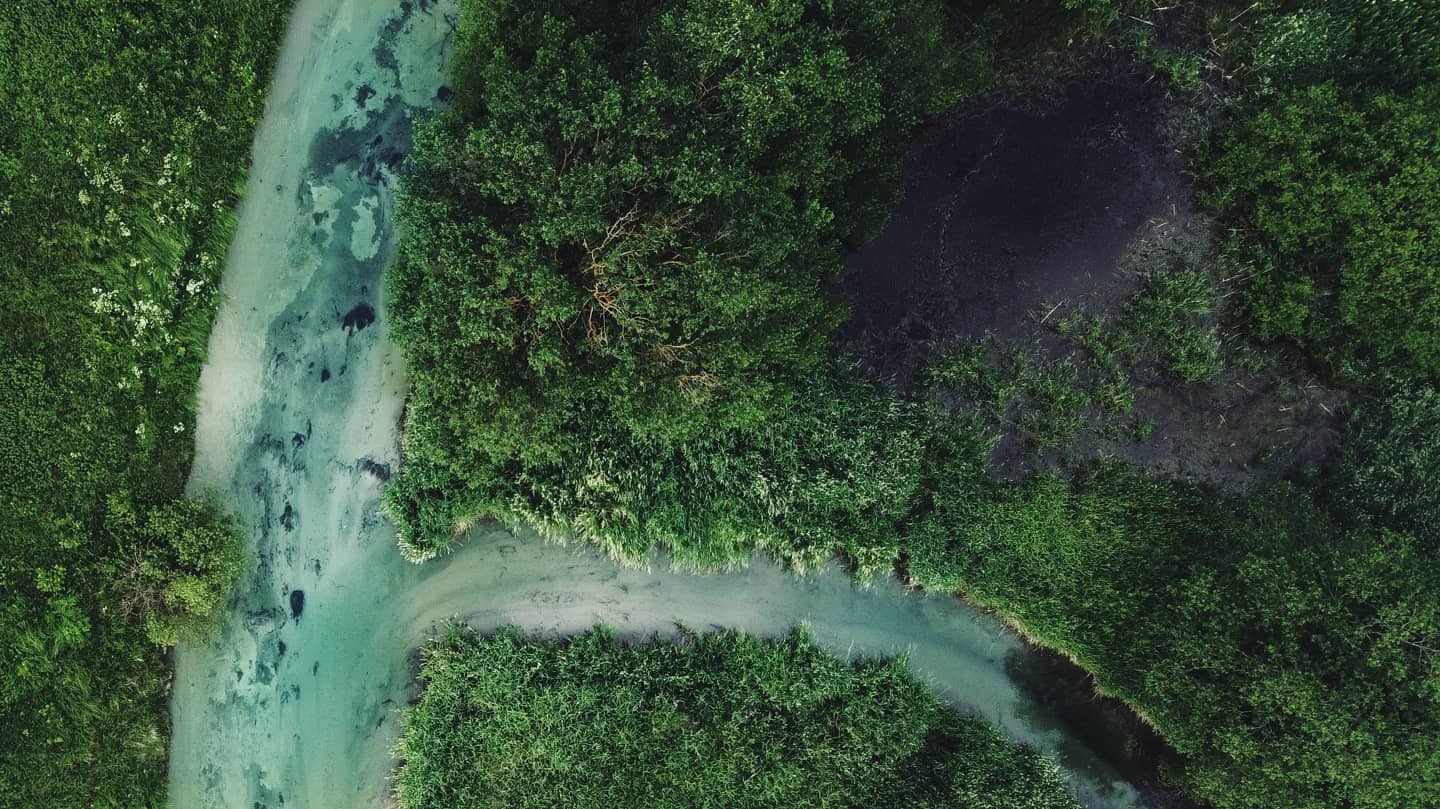 Unusual river in the Leningrad region - My, Drone, Quadcopter, Travels, Travel across Russia, Saint Petersburg, Leningrad region, Gatchina, River, , Nature, Summer, Interesting places, Maldives, Video, Longpost, Dji, DJI Mavic