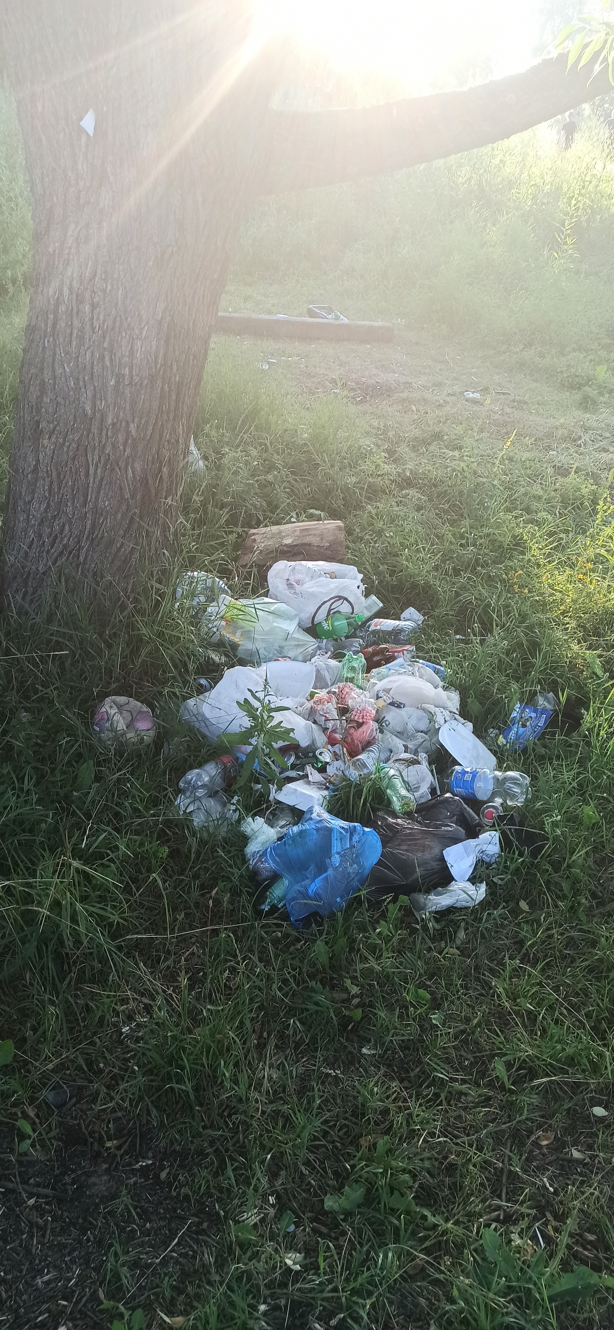 Chistomen Moscow Levoberezhny - My, Chistoman, Purity, Moscow, Levoberezhny, Garbage, No rating, Longpost