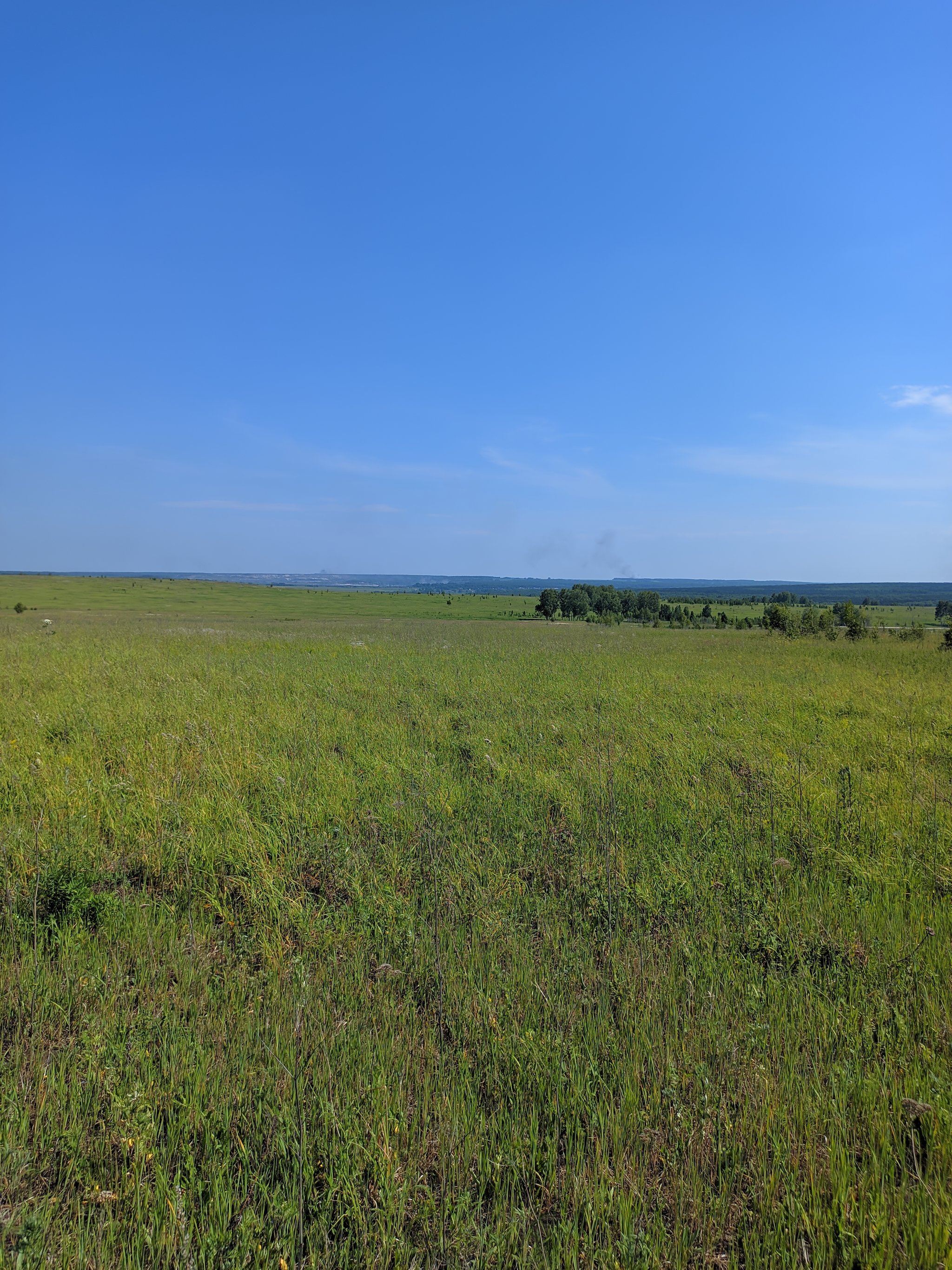 White rock. - My, Hike, PVD, Novosibirsk region, Longpost