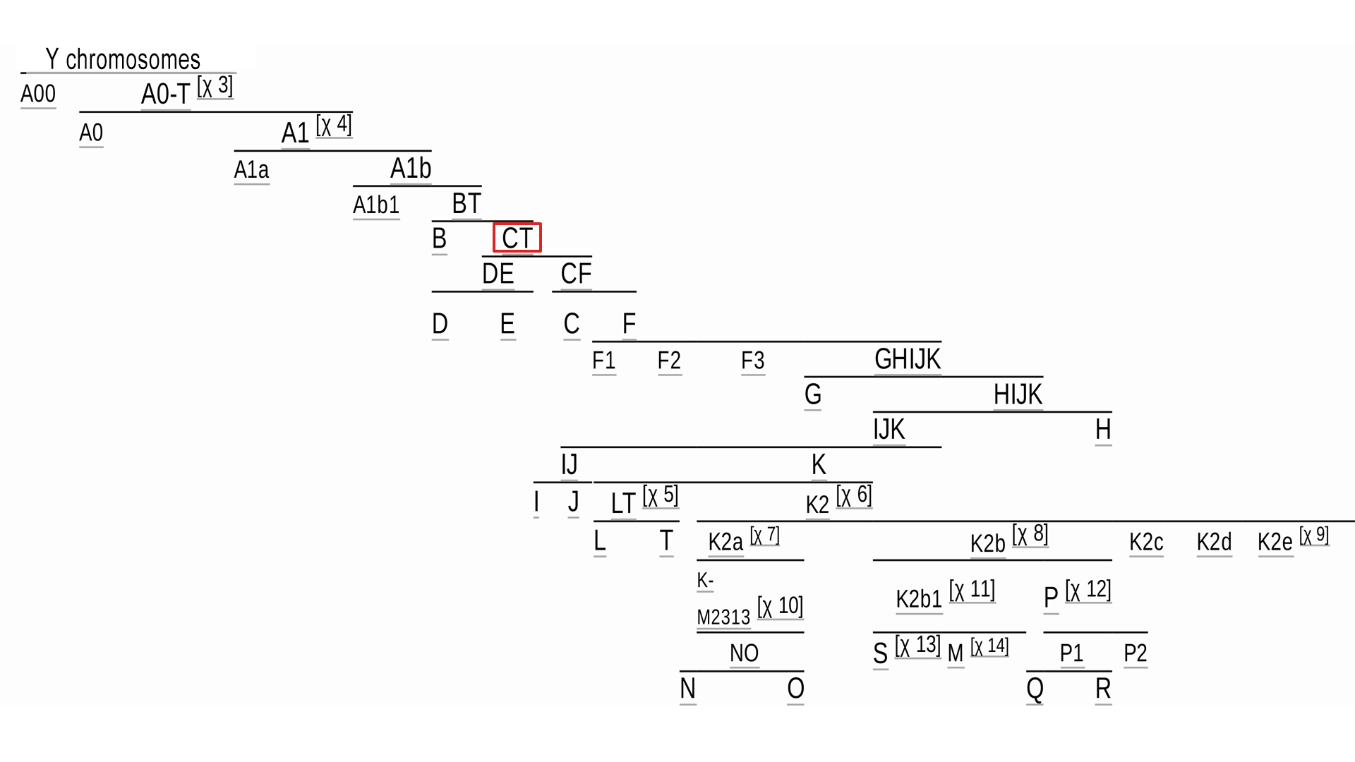 Haplogroups of the human Y-chromosome. Origin of modern non-African lines - My, The science, Genetics, Haplogroup, Story, Phylogeny, Evolution, Video, Longpost, Chromosomes