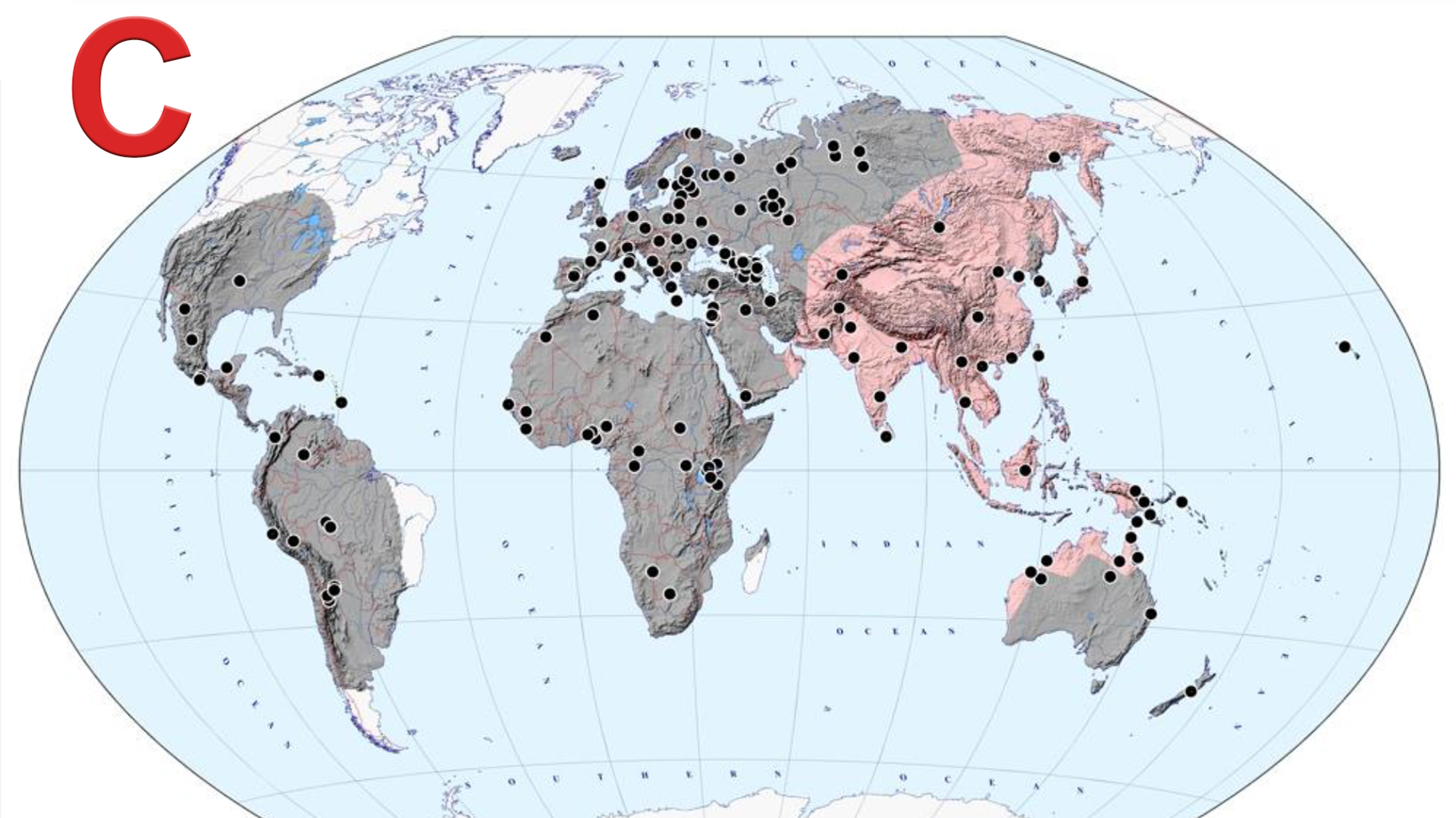 Haplogroups of the human Y-chromosome. Origin of modern non-African lines - My, The science, Genetics, Haplogroup, Story, Phylogeny, Evolution, Video, Longpost, Chromosomes