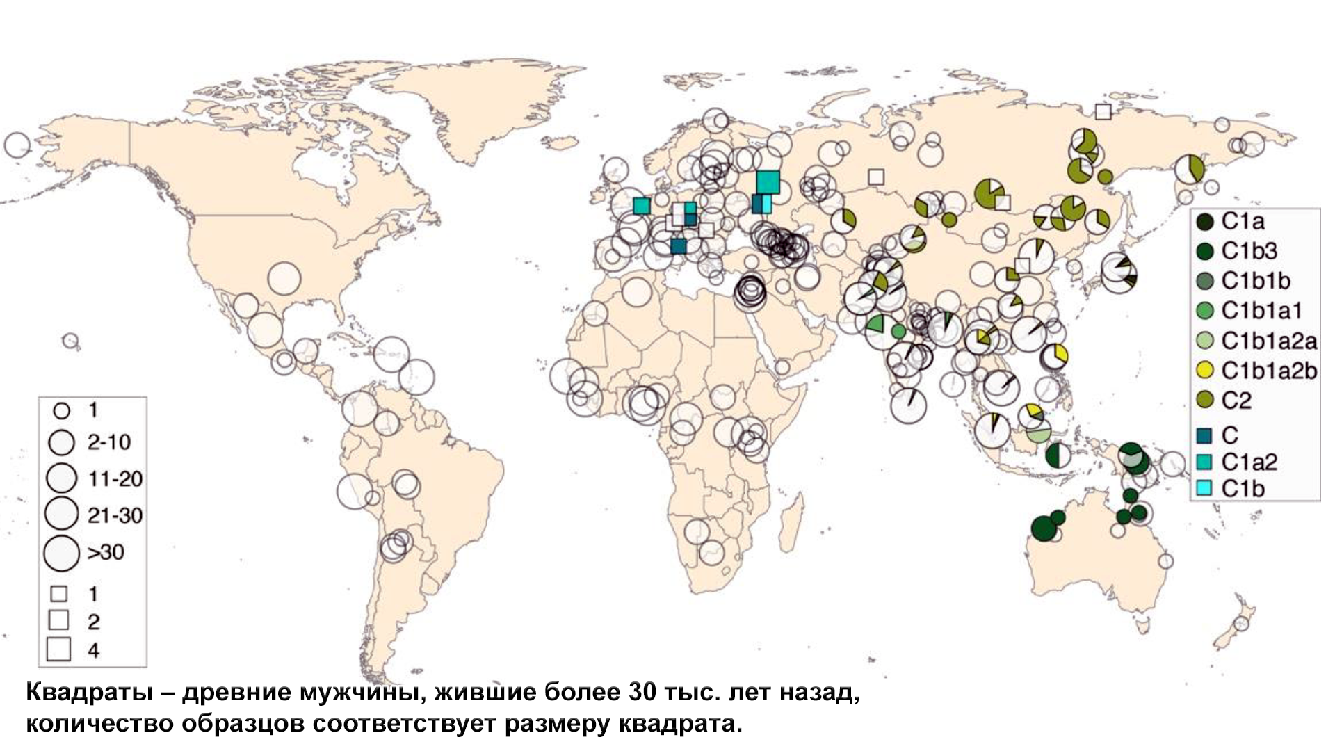 Haplogroups of the human Y-chromosome. Origin of modern non-African lines - My, The science, Genetics, Haplogroup, Story, Phylogeny, Evolution, Video, Longpost, Chromosomes