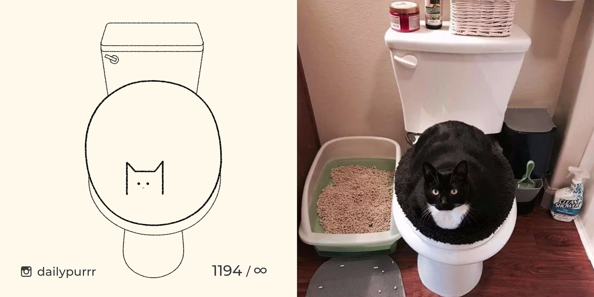 The toilet is blocked. - My, cat, Drawing, Animals, Dailypurrr, Fat cats