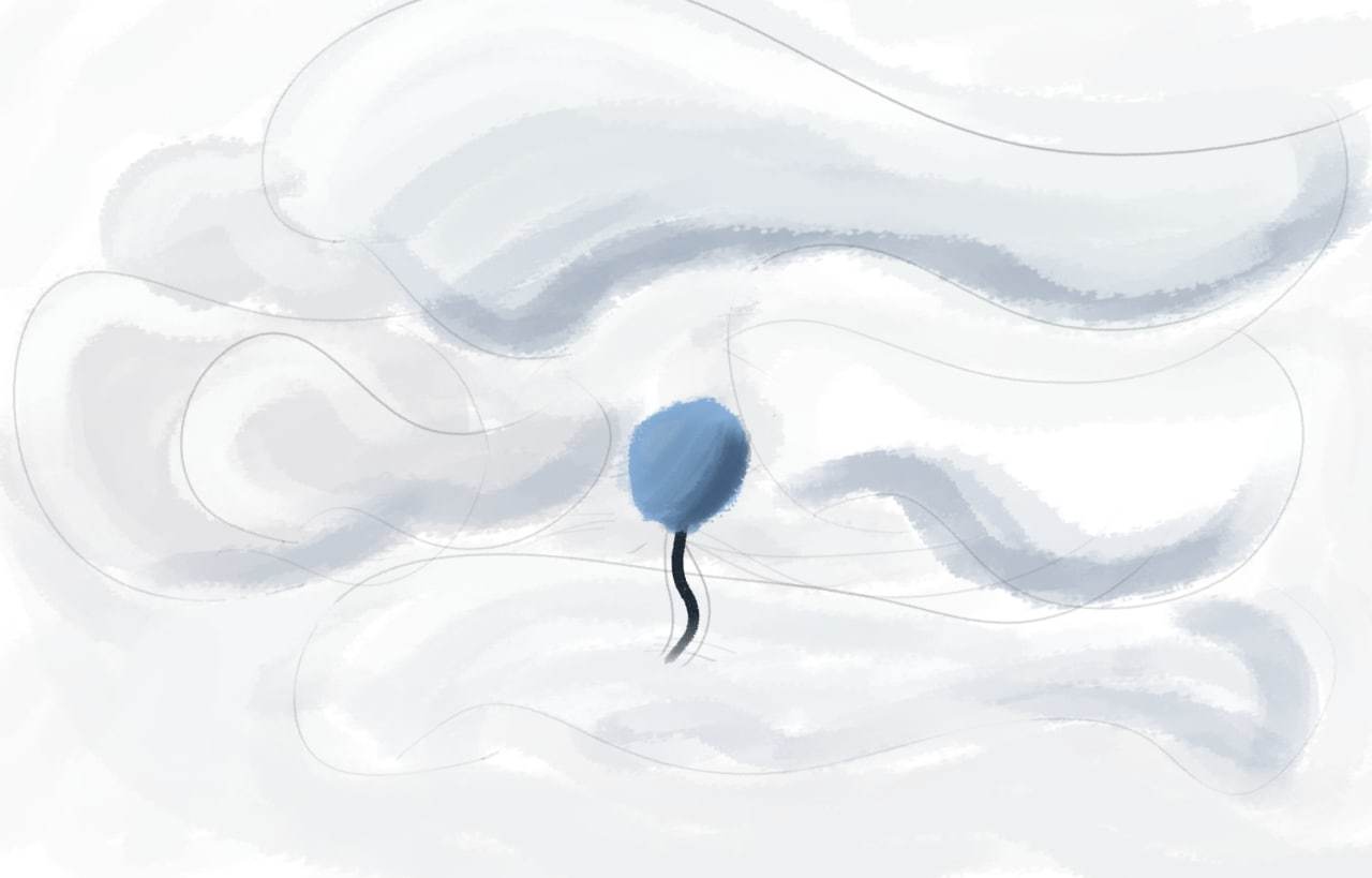 Missed ball - My, Digital drawing, Ball, Beginner artist, Artist, Drawing, Self-taught artist