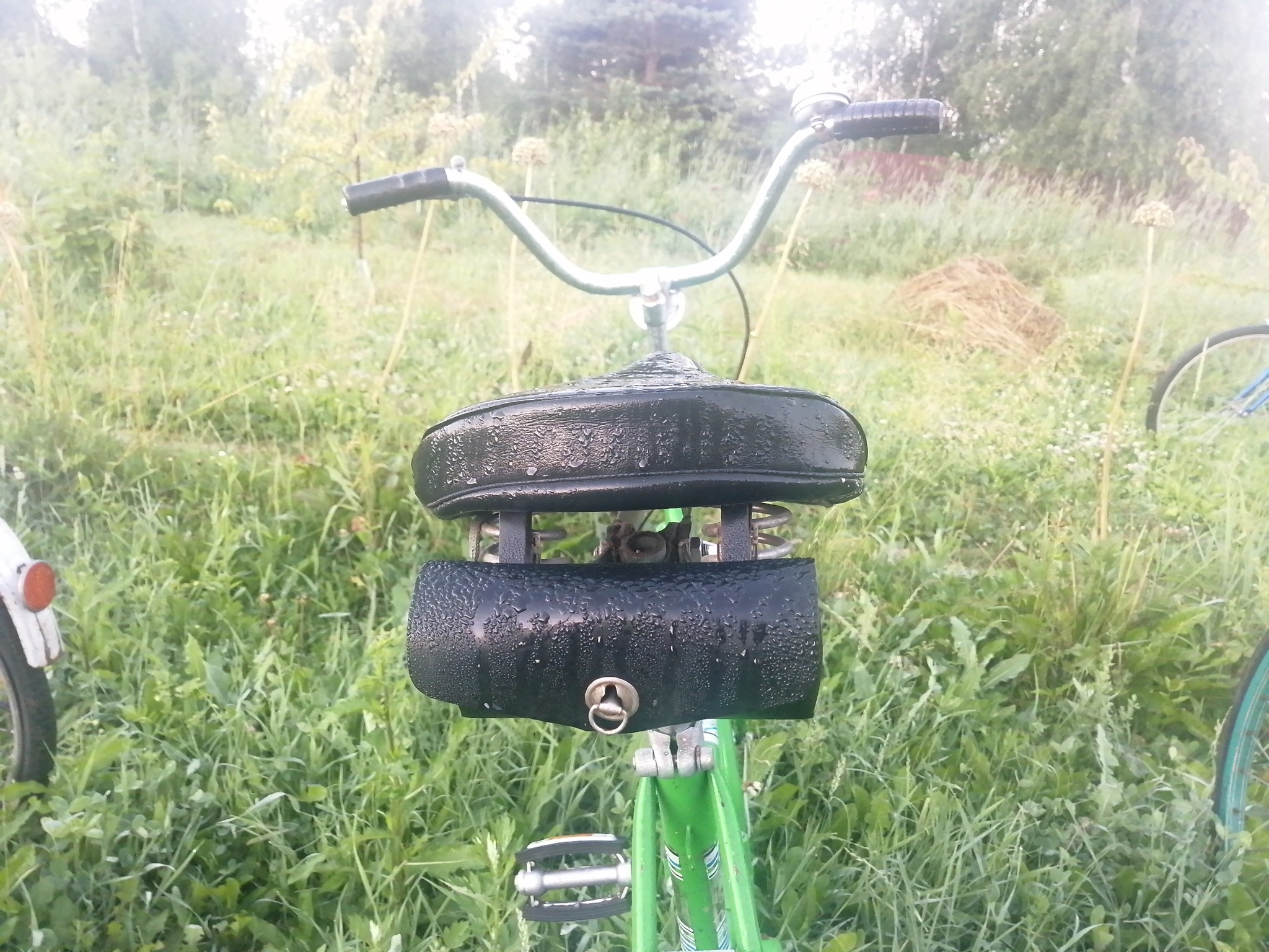 morning aesthetics - My, A bike, Aesthetics, Nature, Morning, Russia, Abandoned, Longpost