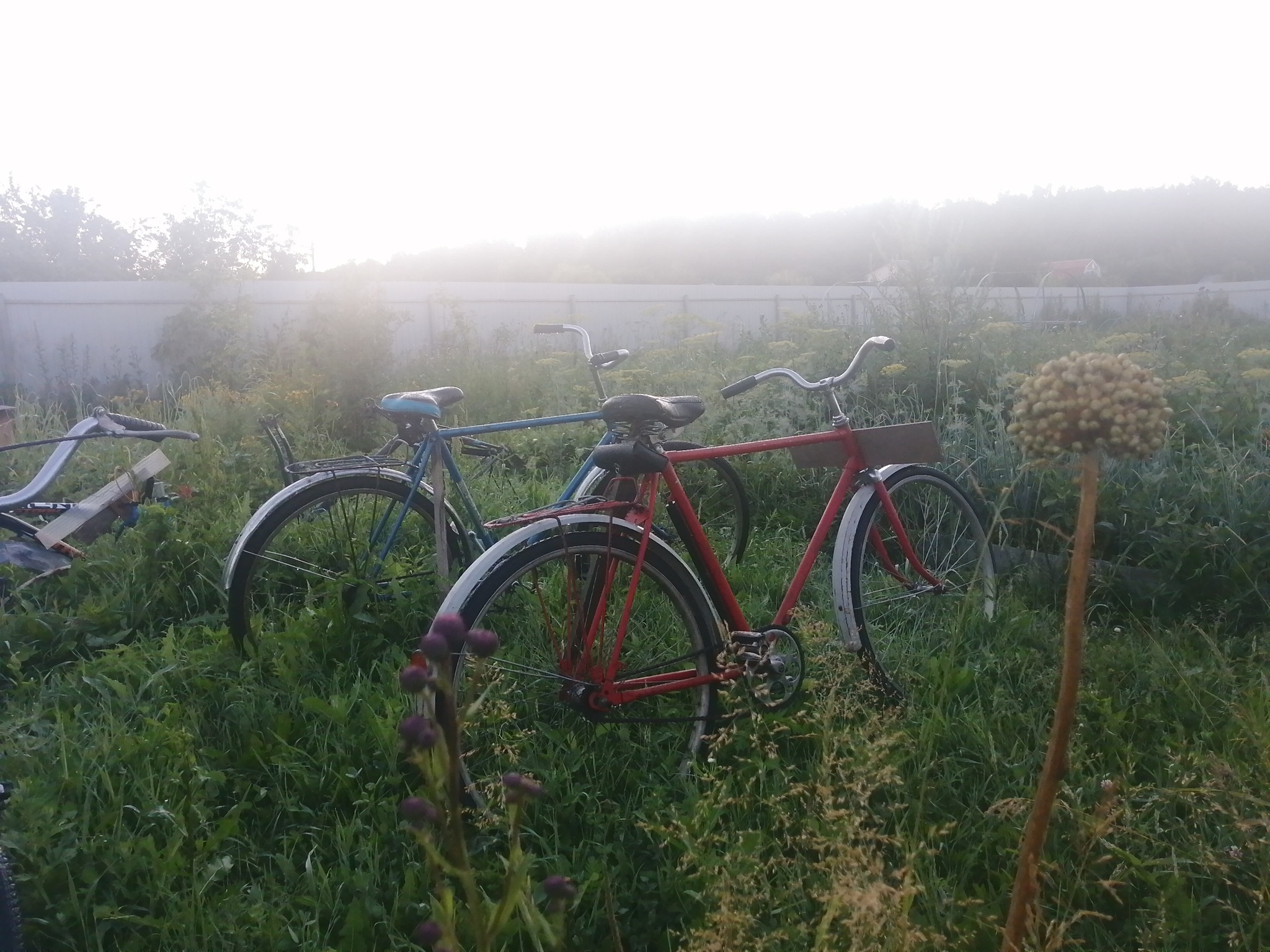 morning aesthetics - My, A bike, Aesthetics, Nature, Morning, Russia, Abandoned, Longpost