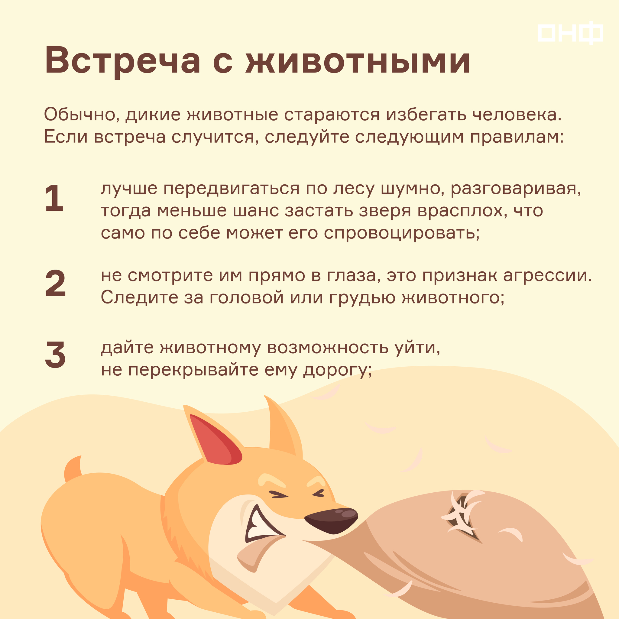 How to protect yourself while relaxing in the forest? - My, Onf, Memo, Forest, Nature, Ecology, Relaxation, Leisure, Holidays in Russia, Longpost