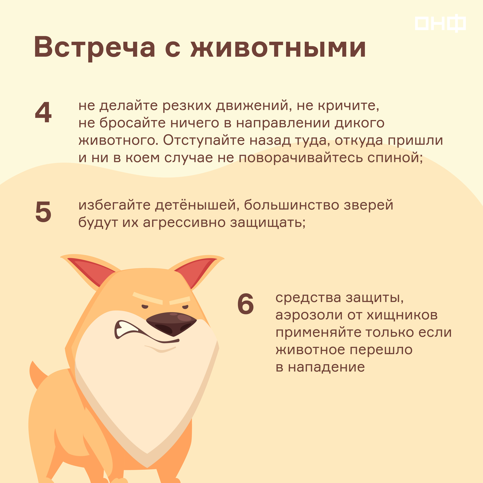 How to protect yourself while relaxing in the forest? - My, Onf, Memo, Forest, Nature, Ecology, Relaxation, Leisure, Holidays in Russia, Longpost